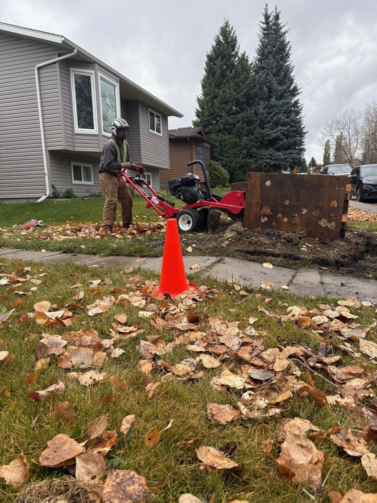 A person in safety gear operating a stump grinder on a smallTree stump in a residential yard with autumn leaves scattered on the ground.