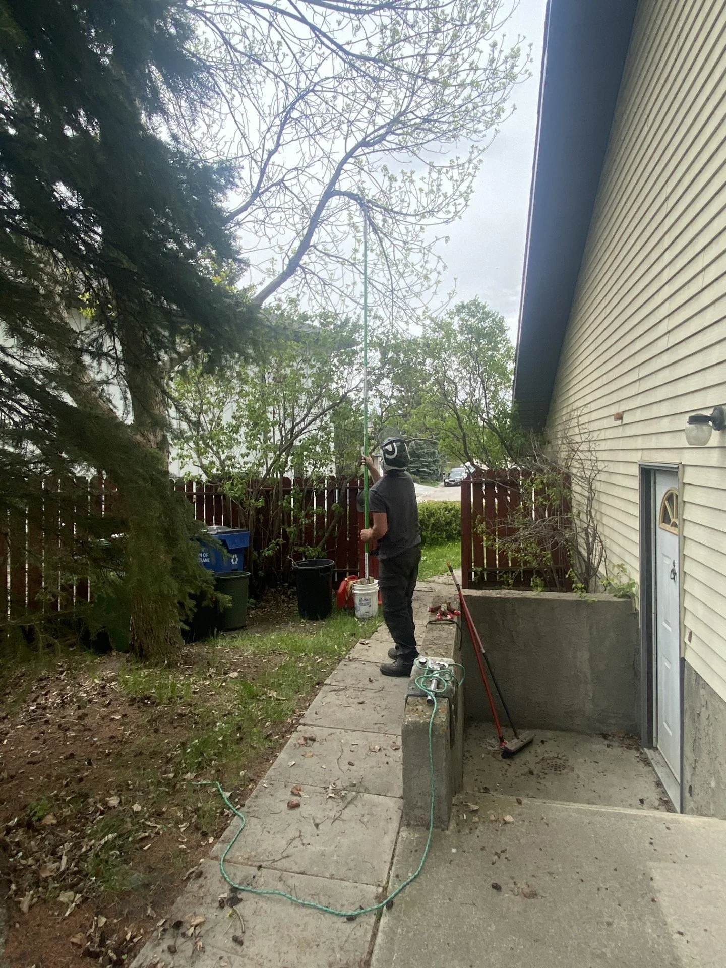 A person in black clothing and a cap appears to be casting a fishing line or similar pole into the air in a residential backyard.