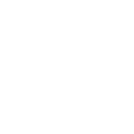 Custom Additions icon