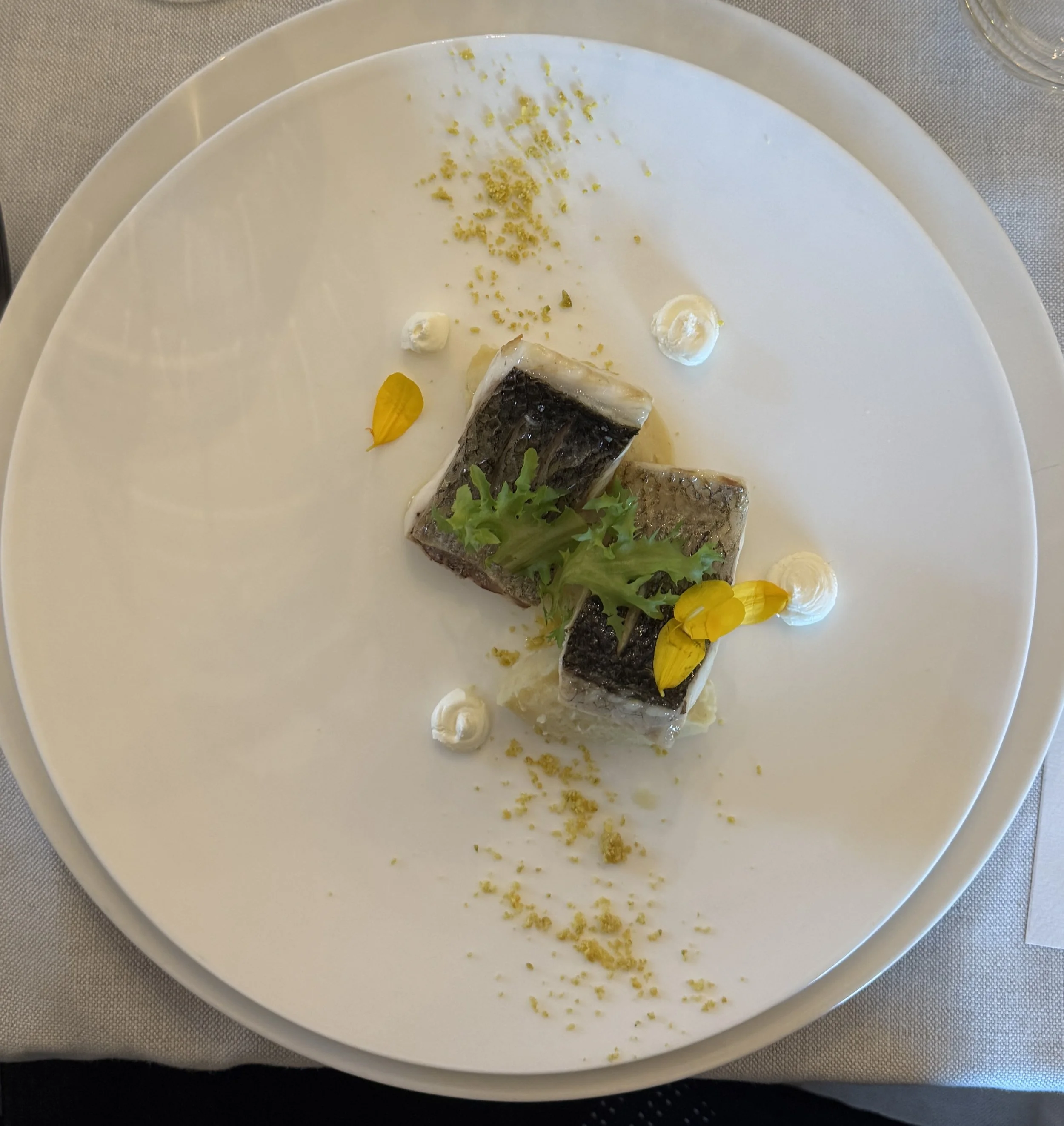 A plated fish dish with two pieces of cooked fish, garnished with greens, yellow flower petals, small dollops of sauce, and lemon zest.