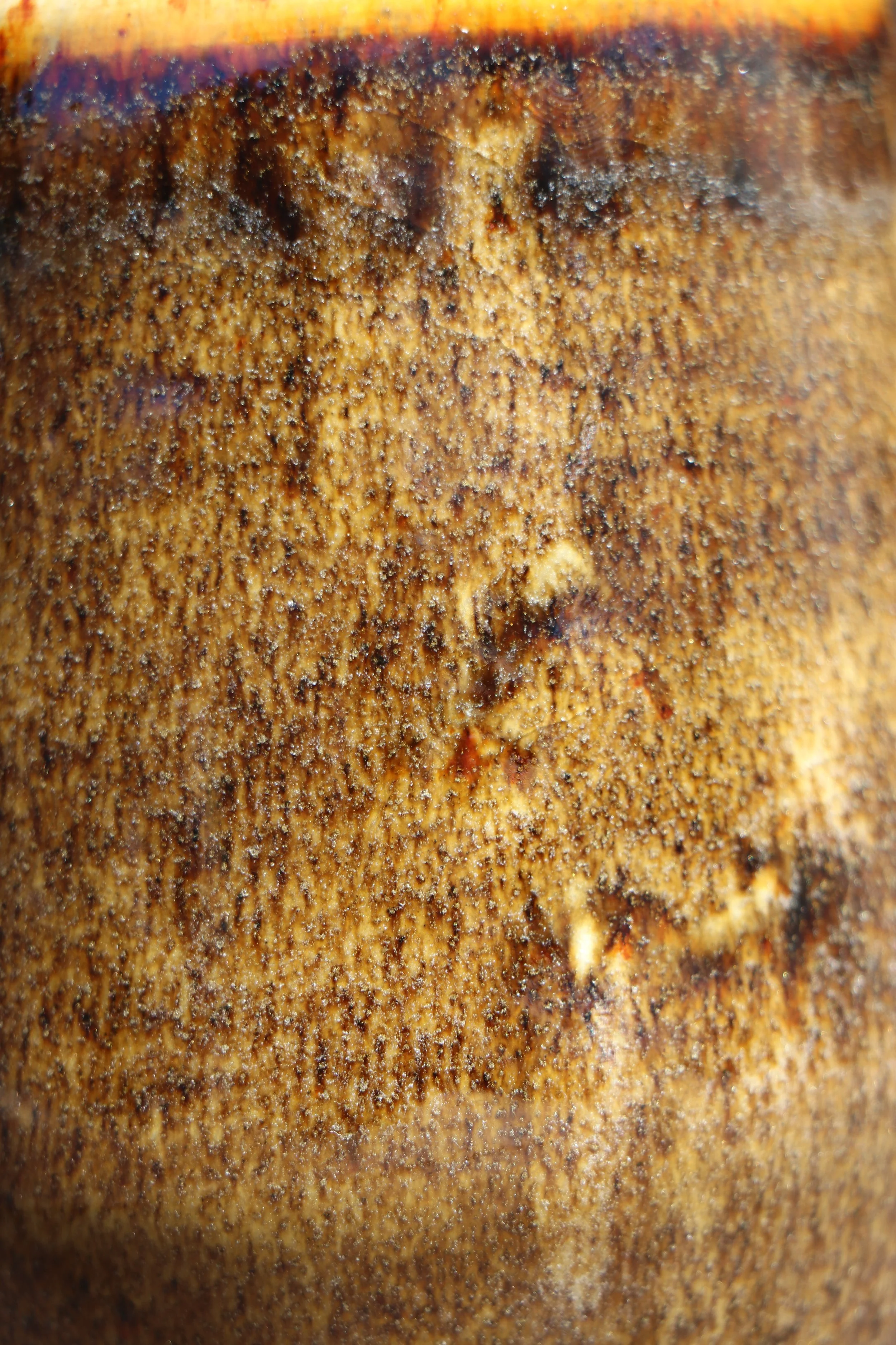 IMG_8772.JPG