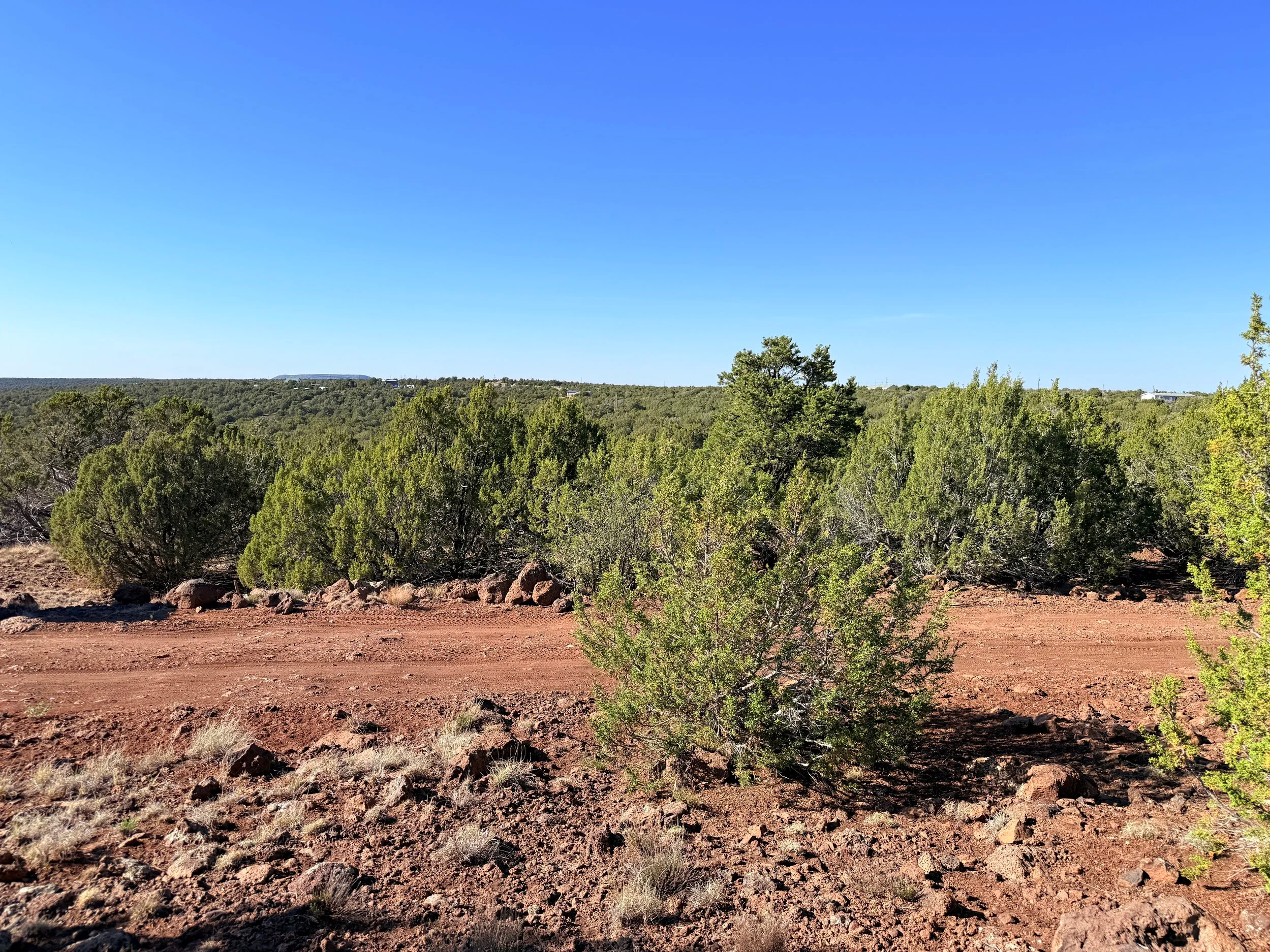 1.16 Acre | Concho, AZ