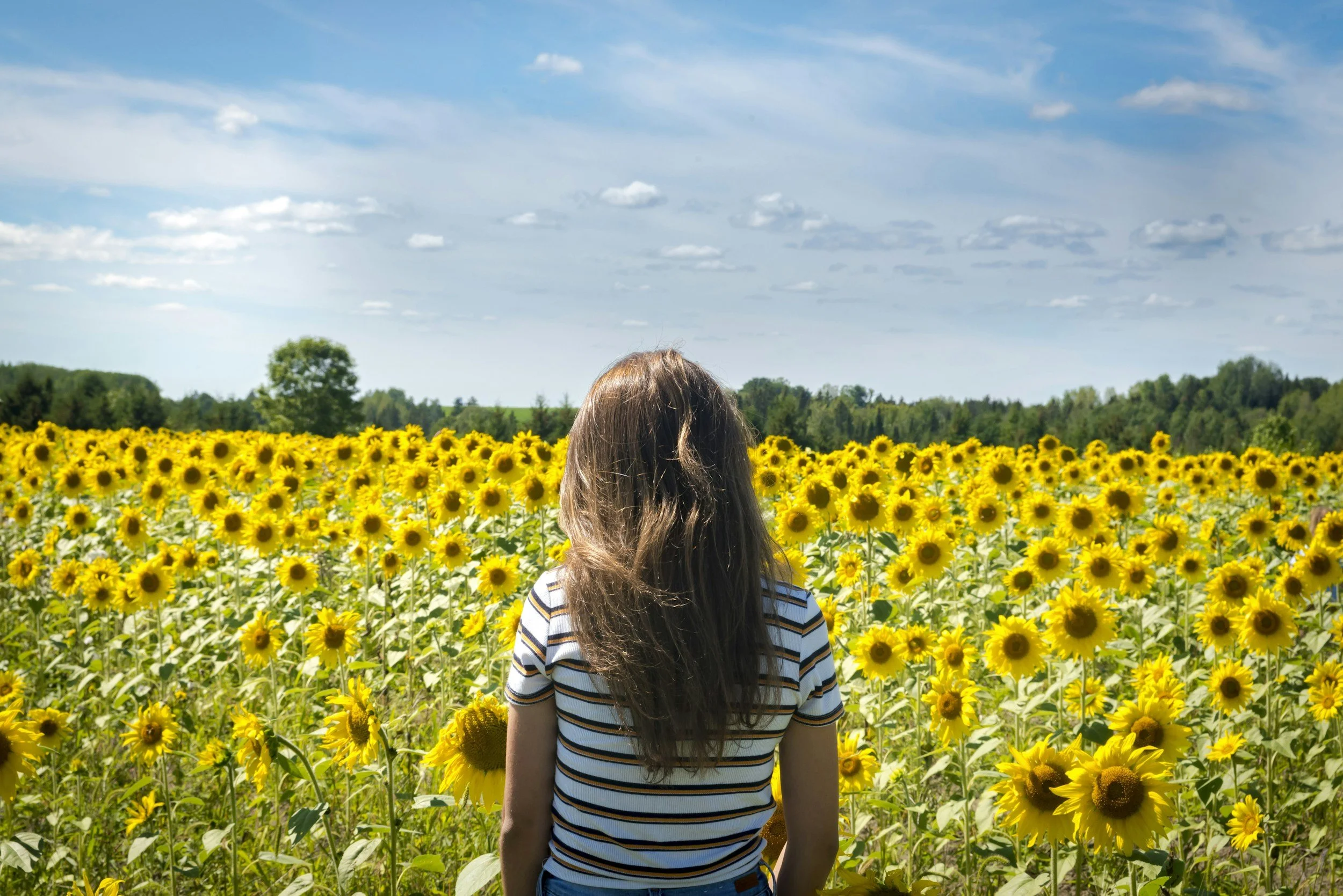 A woman with long brown hair, wearing a striped T-shirt, standing in a sunflower field under a partly cloudy sky.