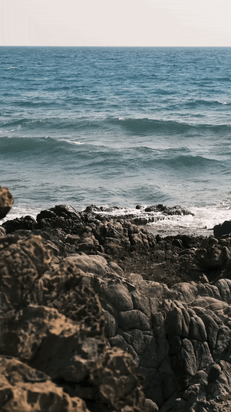 Rocky beach shoreline with calm ocean waves and clear sky