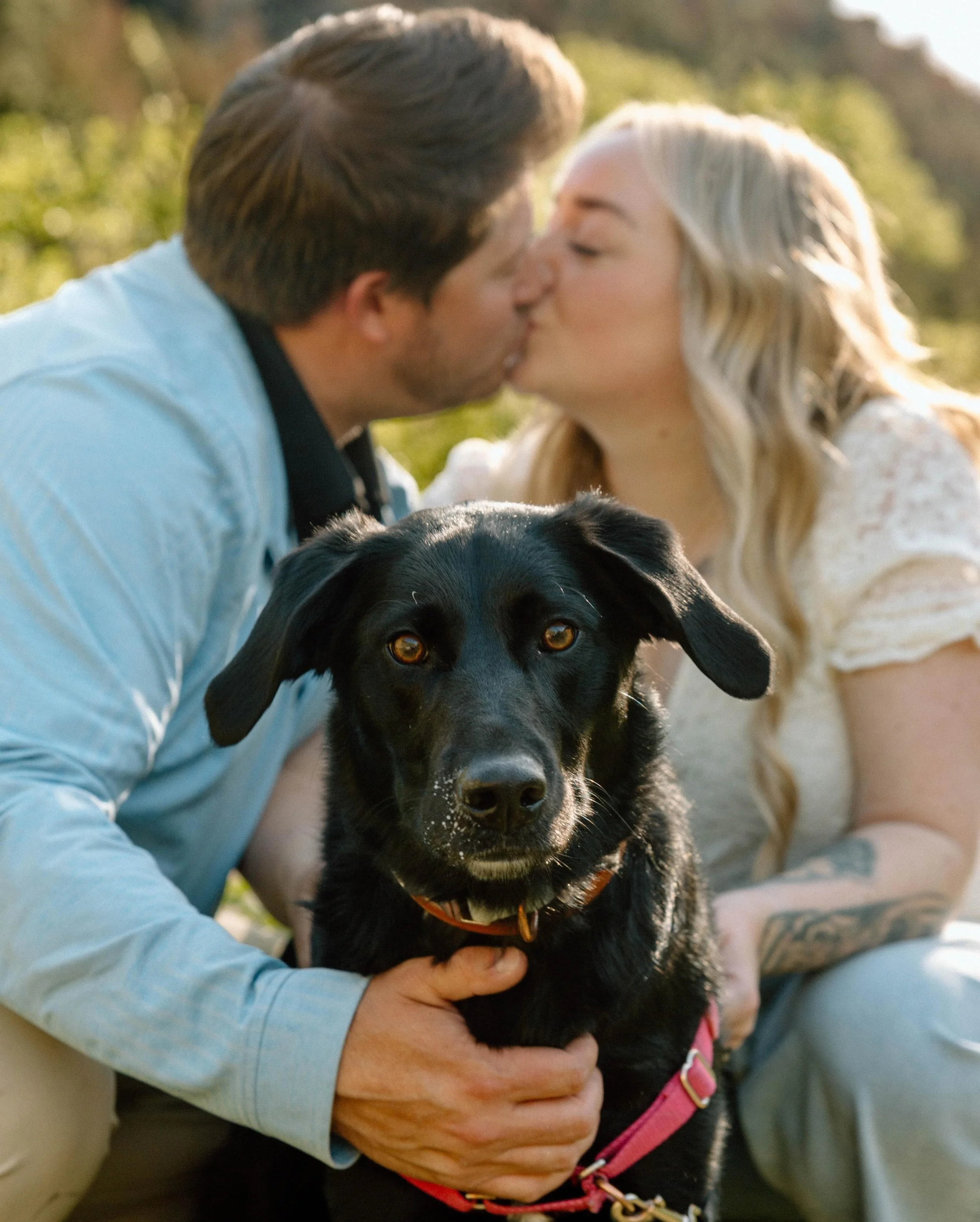 Last night&rsquo;s engagement session was so sweet with the goodest pup. 
💕🫶🏼 busy season is here. 😅 💕 Getting outside and enjoying the weather has been so fun!  #sheridanwyomingphotographer