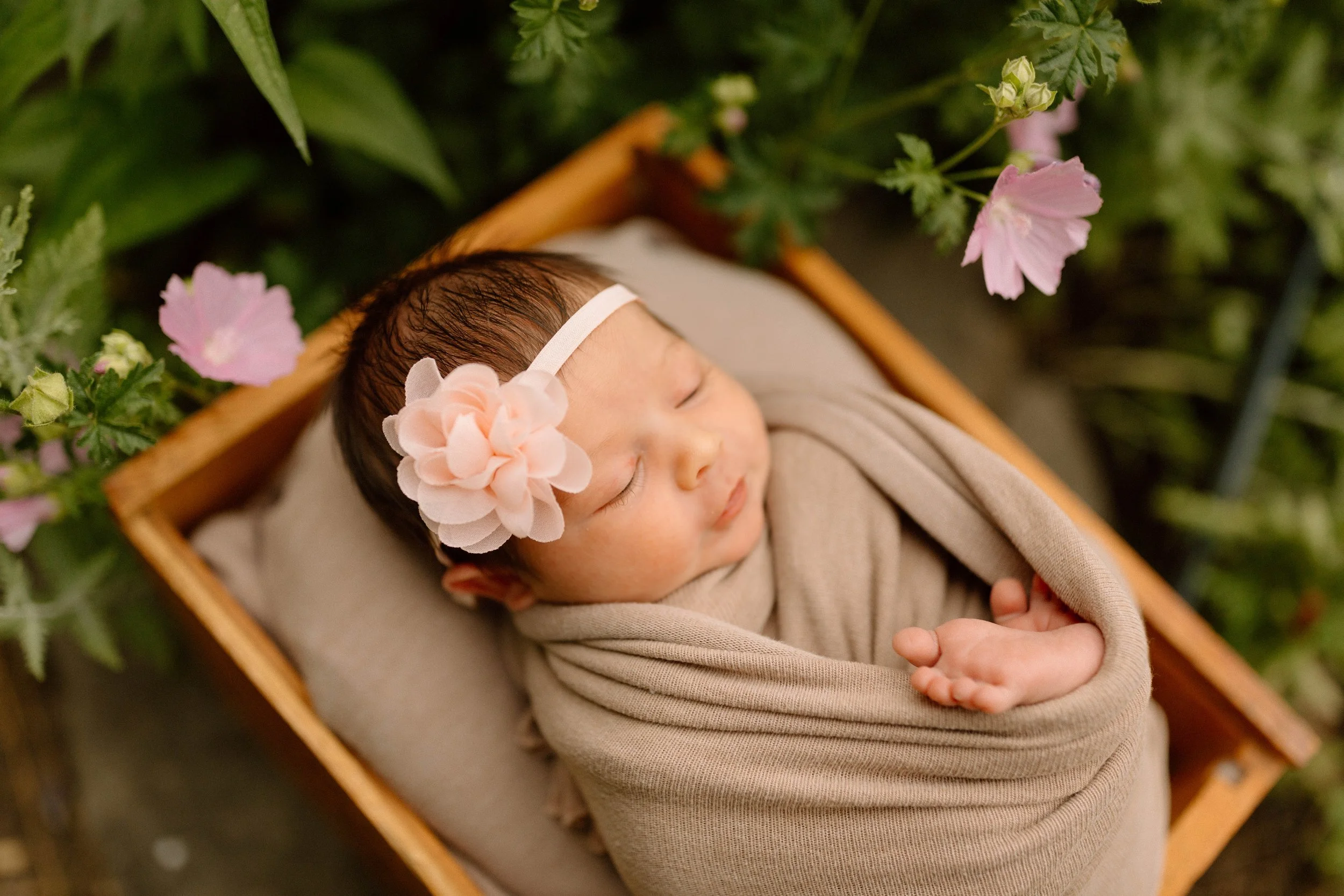 Garden-Inspired Newborn Photography in Sheridan, Wyoming | Braidyn Looper Photo