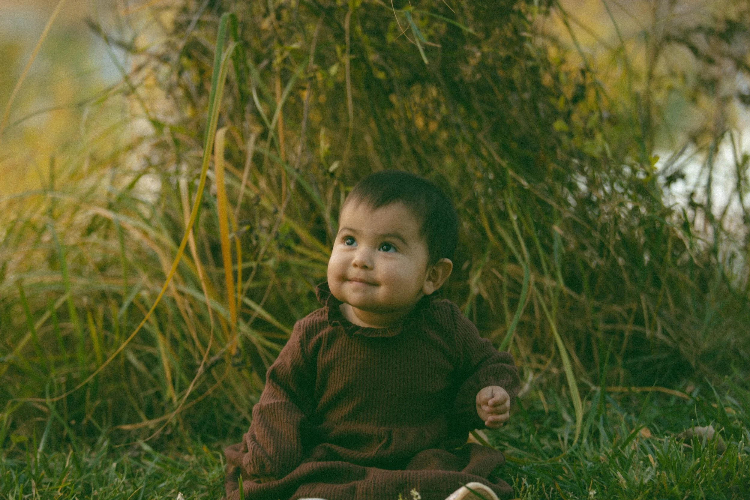 A young child with dark hair, wearing a brown sweater, sitting on the grass outdoors, surrounded by tall, yellow and green grass, looking up with a gentle smile.