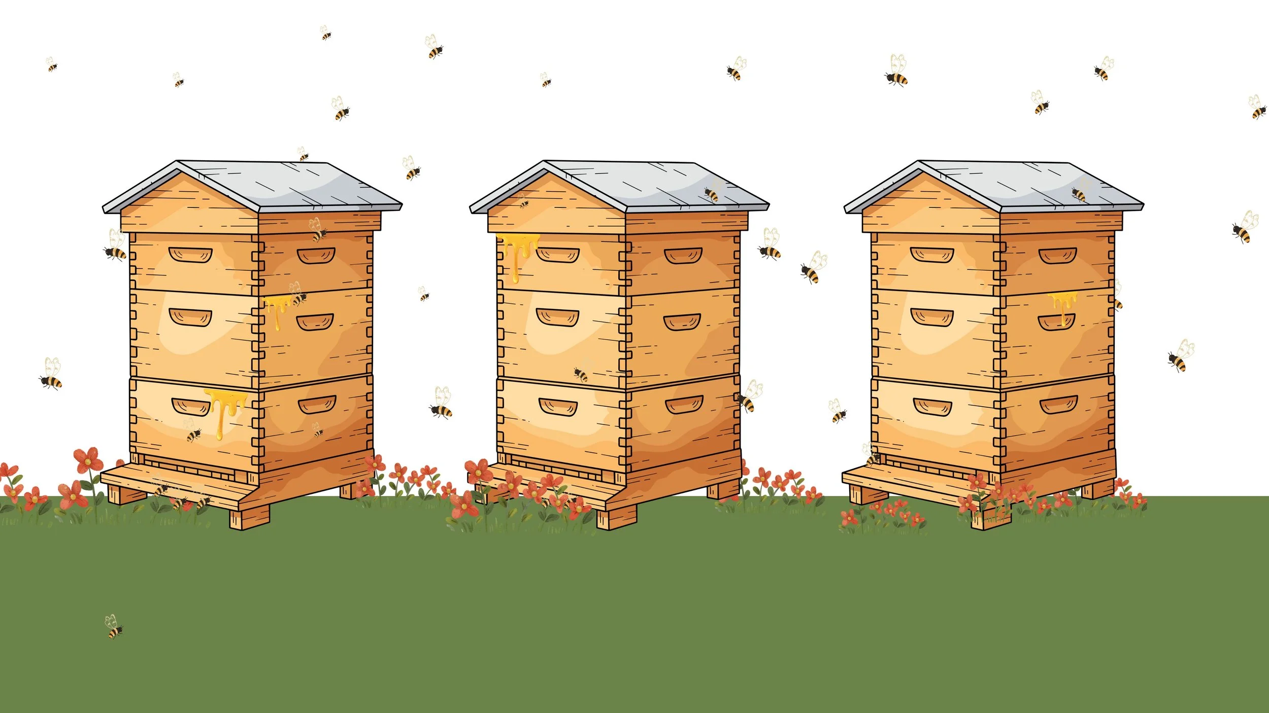 Three wooden beehives on a grassy patch with red flowers, surrounded by bees flying around.