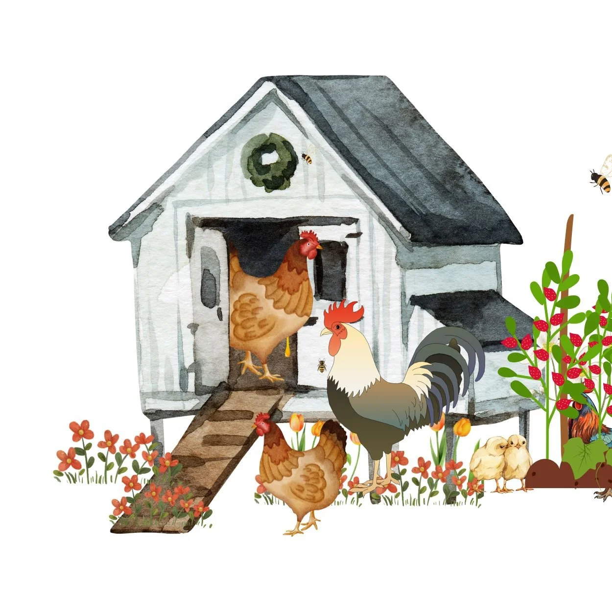Cartoon Chicken Coop with Hens + Roosters