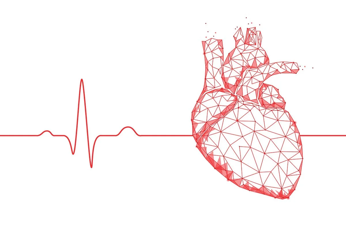 A digital illustration of a human heart connected to an electrocardiogram line, created with a polygonal wireframe style.