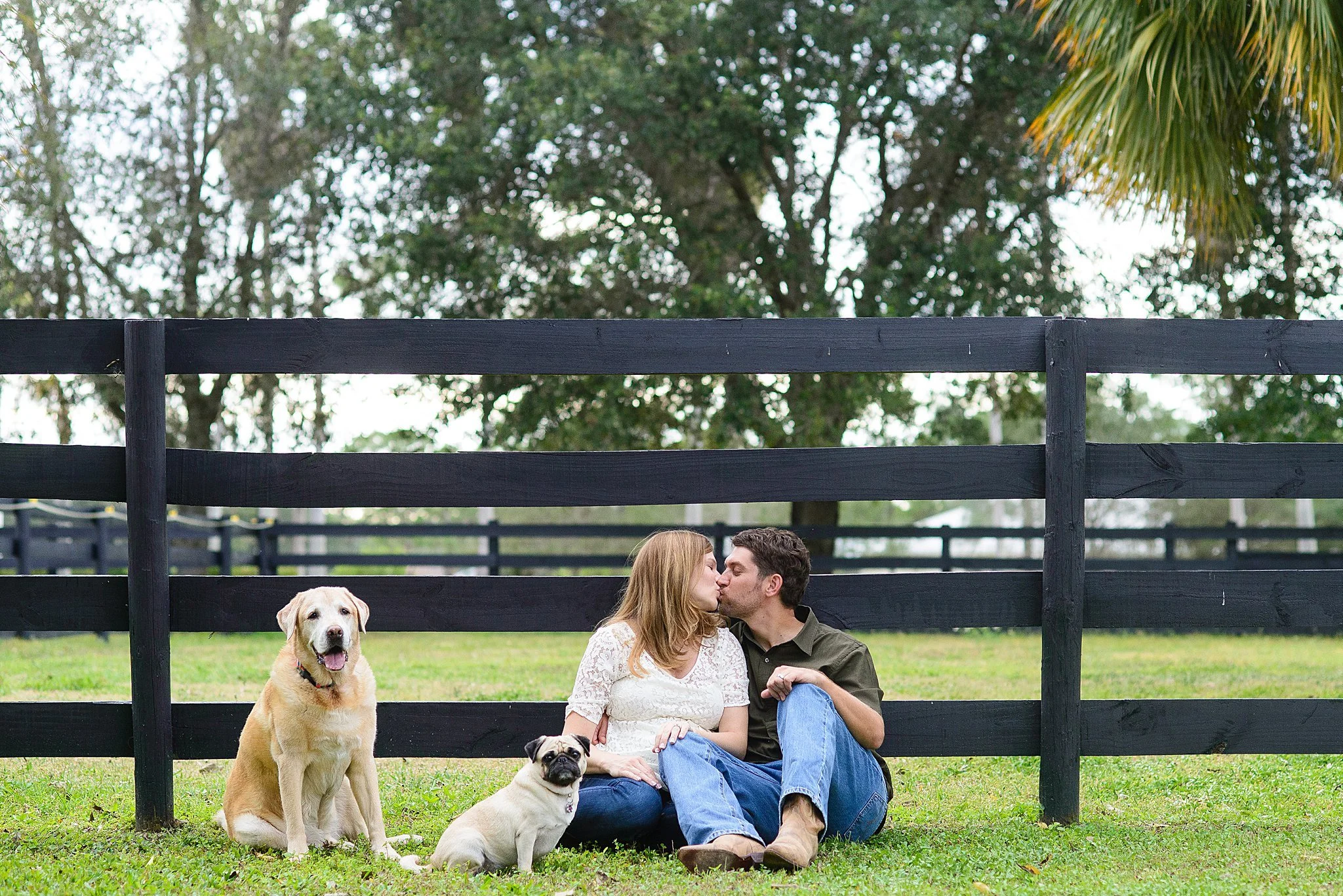 A couple sitting on grass near a black fence, kissing, with two dogs, a retriever and a pug, sitting nearby. Trees are in the background.