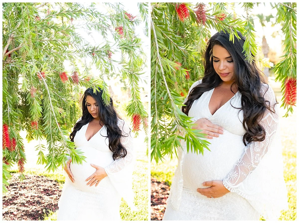 A pregnant woman with long dark hair in a white lace dress stands outdoors under a tree with red flowers, holding her belly and looking down.