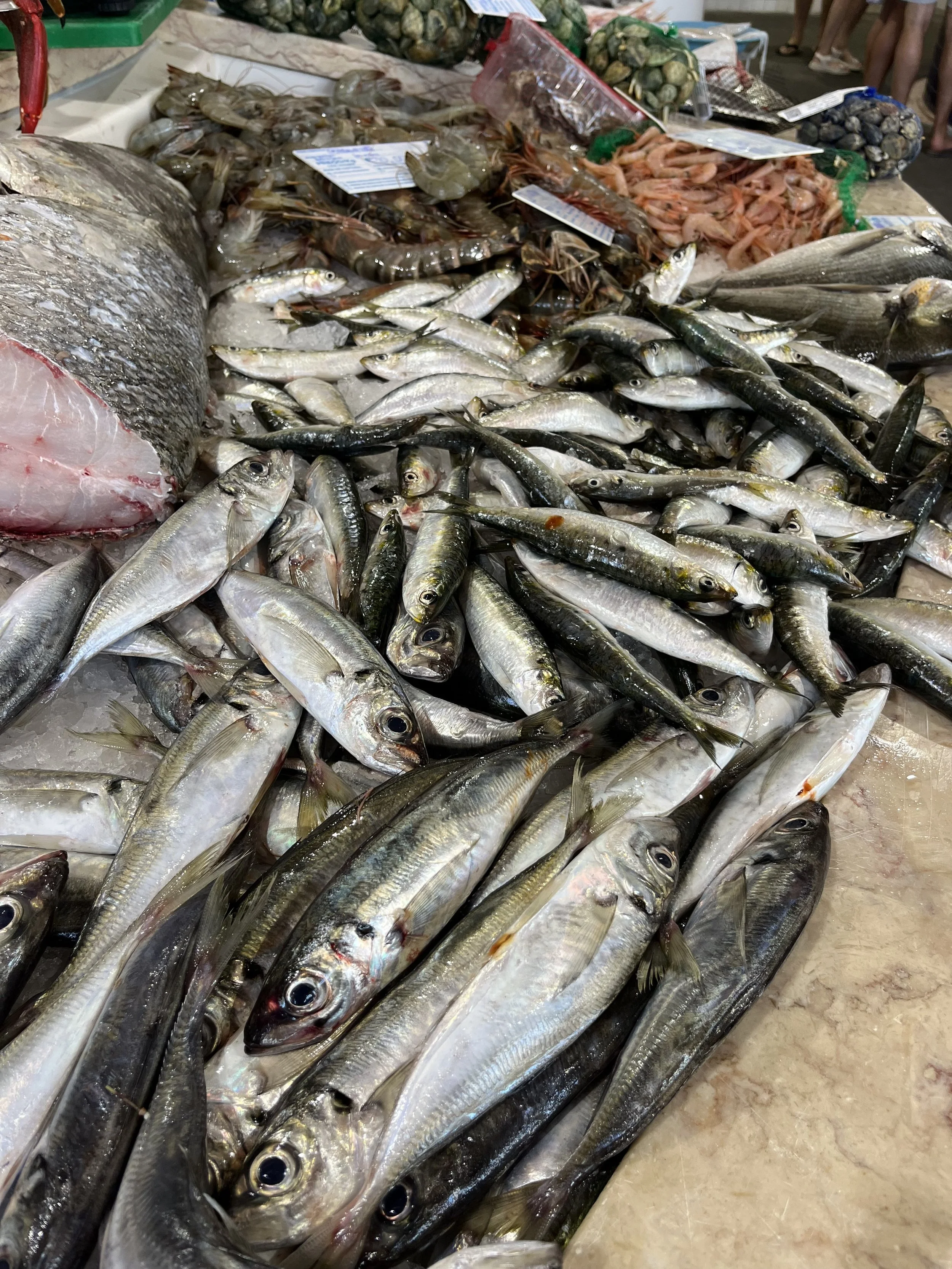 Fresh fish and seafood at a market stall, with various types of fish, shrimp, and shellfish displayed on ice.
