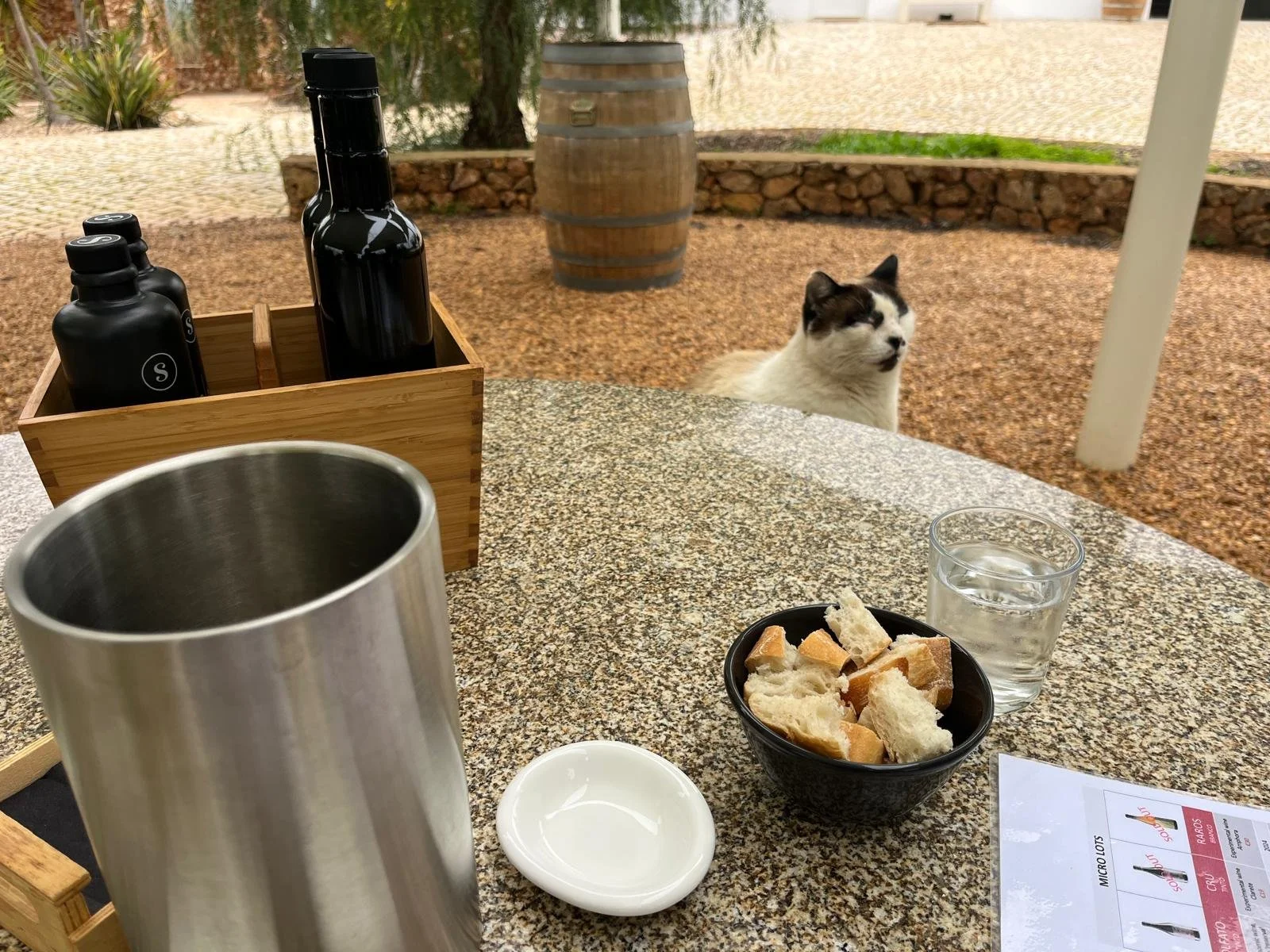 An outdoor table set with a metal tumbler, a small white dish, a black bowl of bread, a glass of water, and olive oil. A cat peeks from behind the table, at the vineyard.