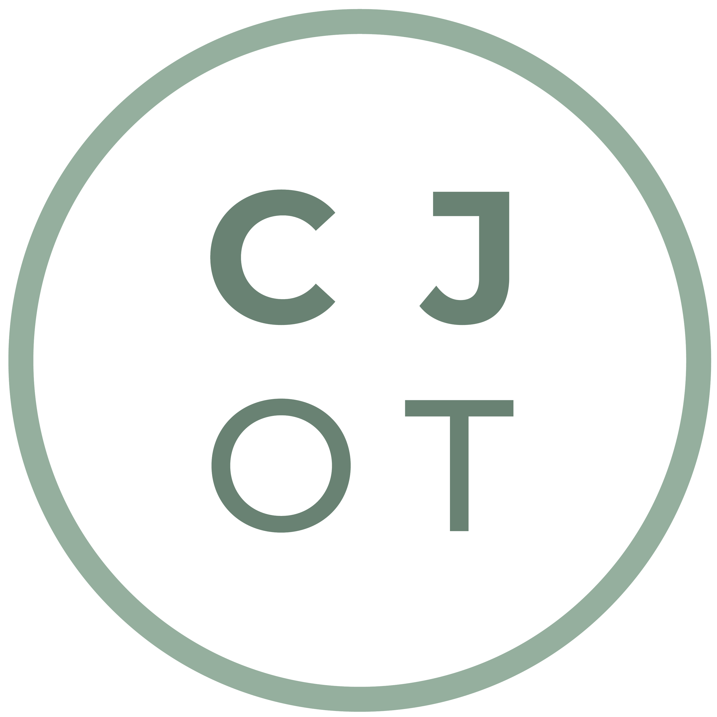 Consultation & Holistic Goal Setting