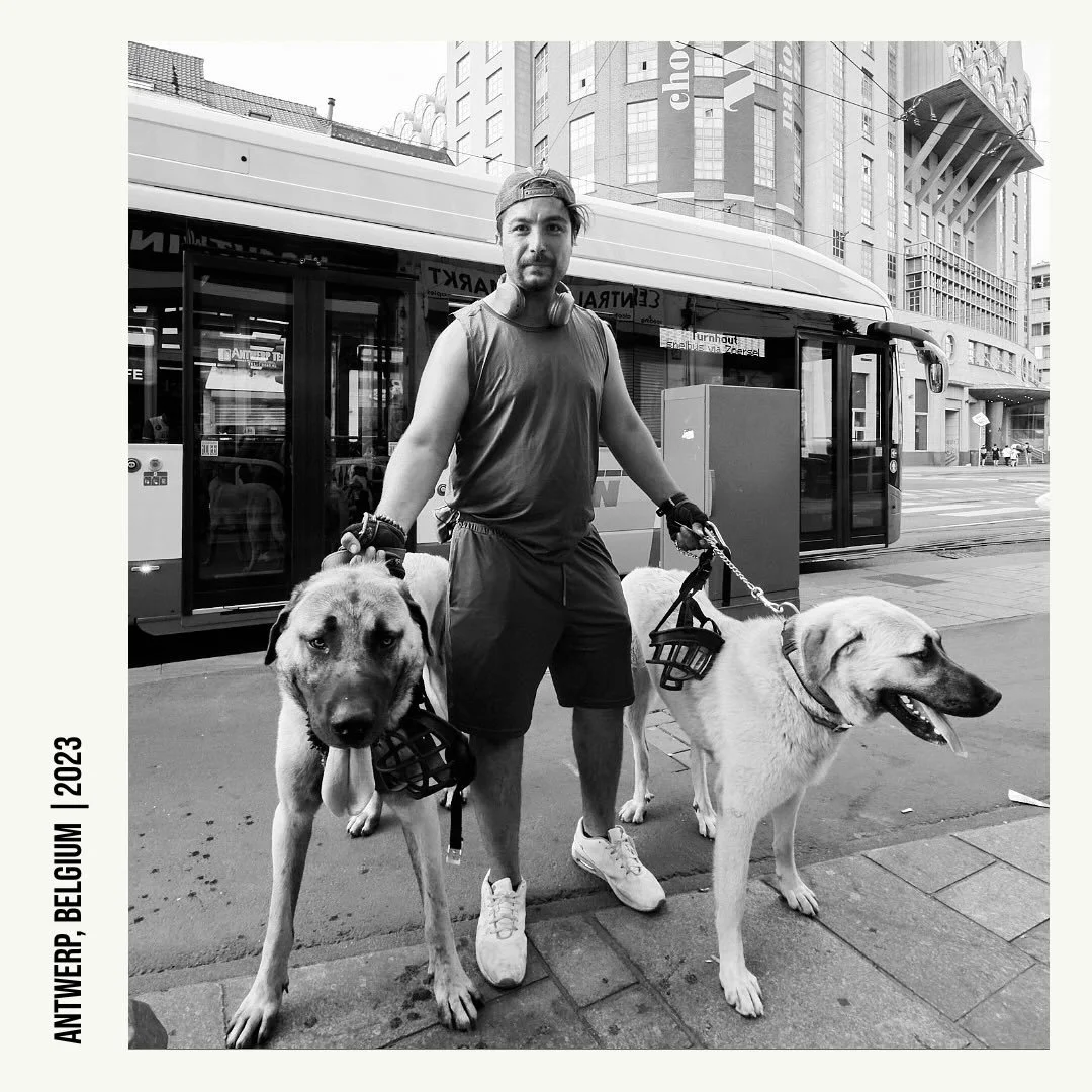 Antwerp, Belgium 🇧🇪 📷 🐕 🐾 

#streetphotography_bw #dogsofinsta #belgium