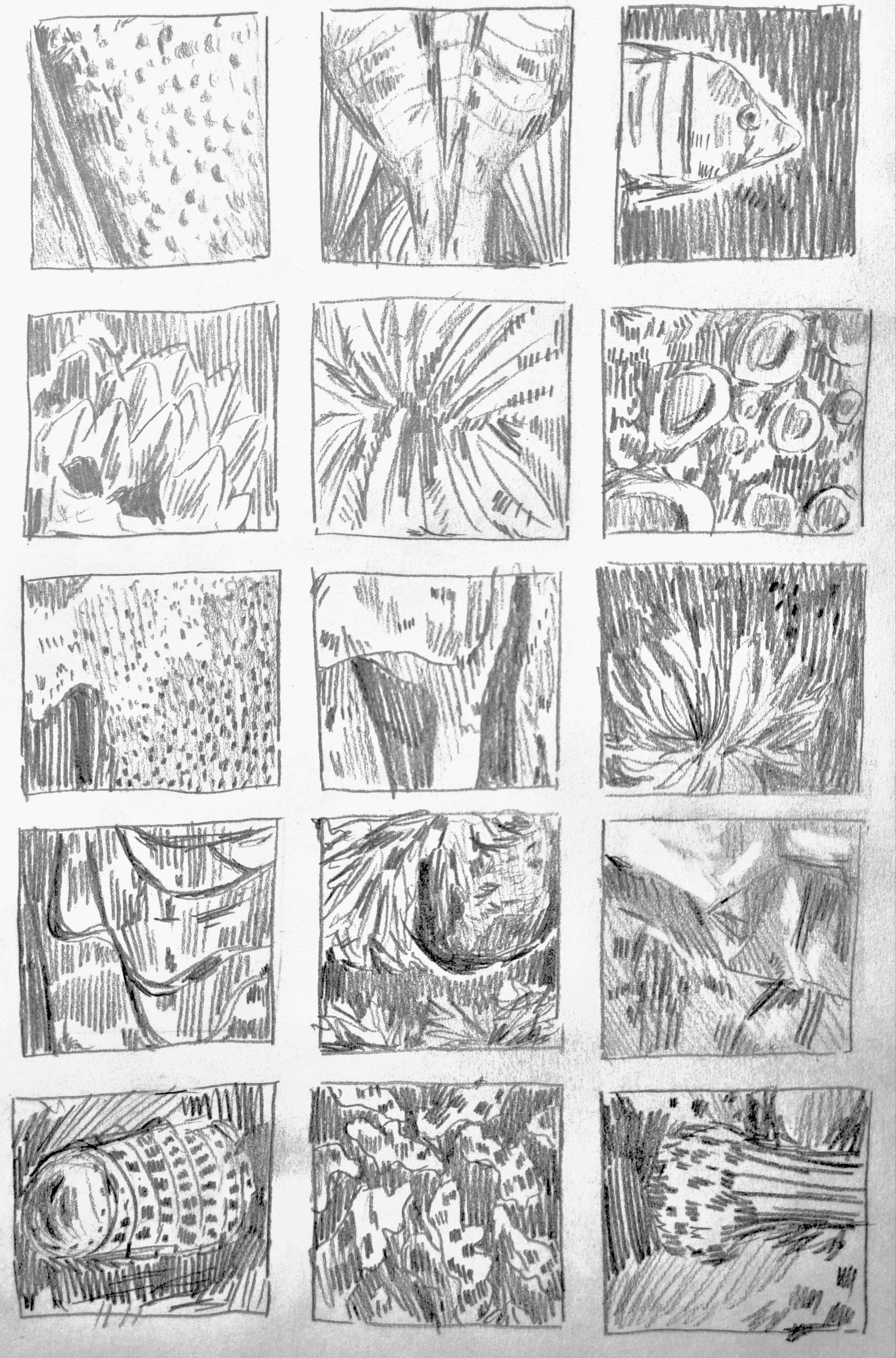 Aquatic Pencil Drawings.jpg