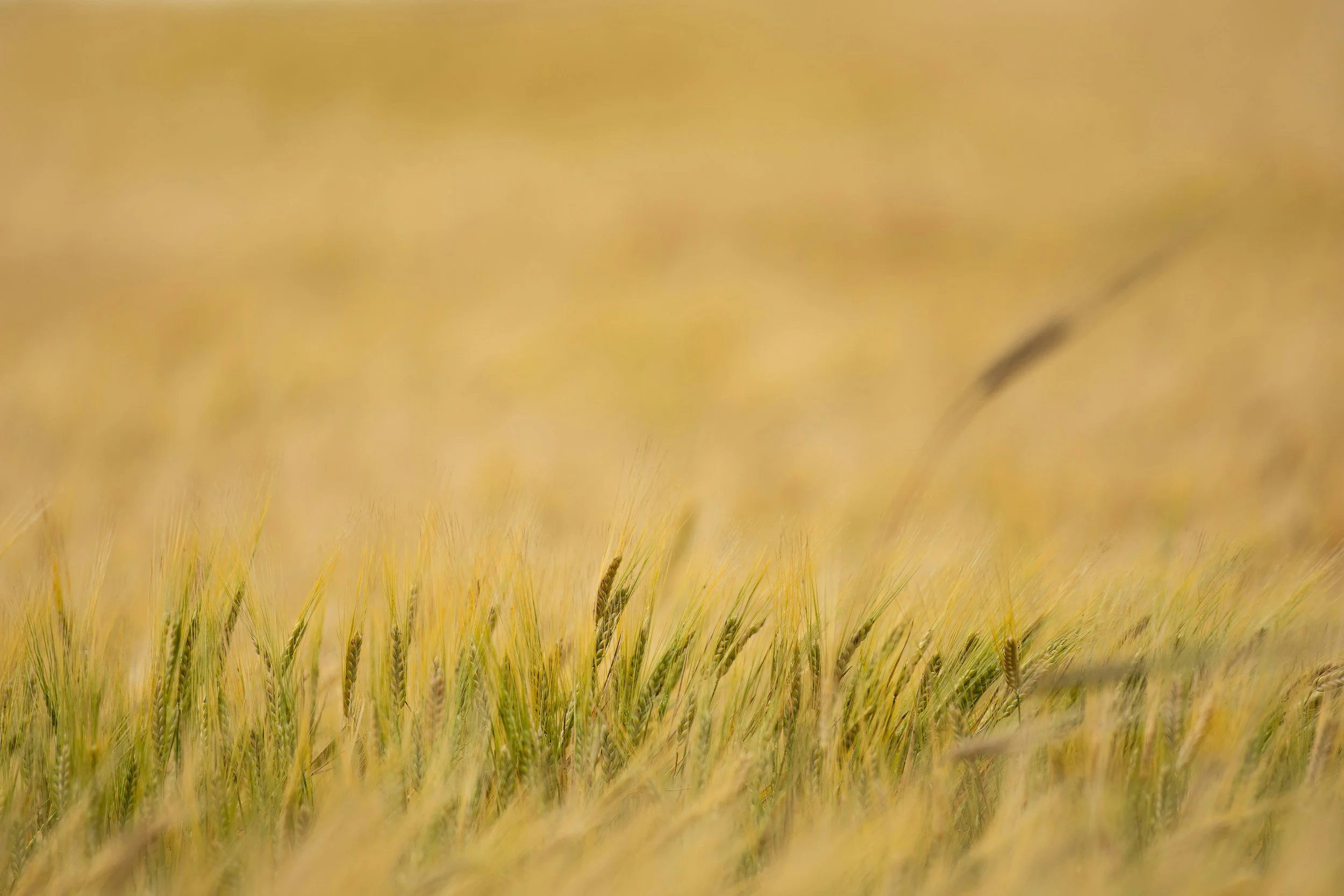 It is okay to have good days and quieter days