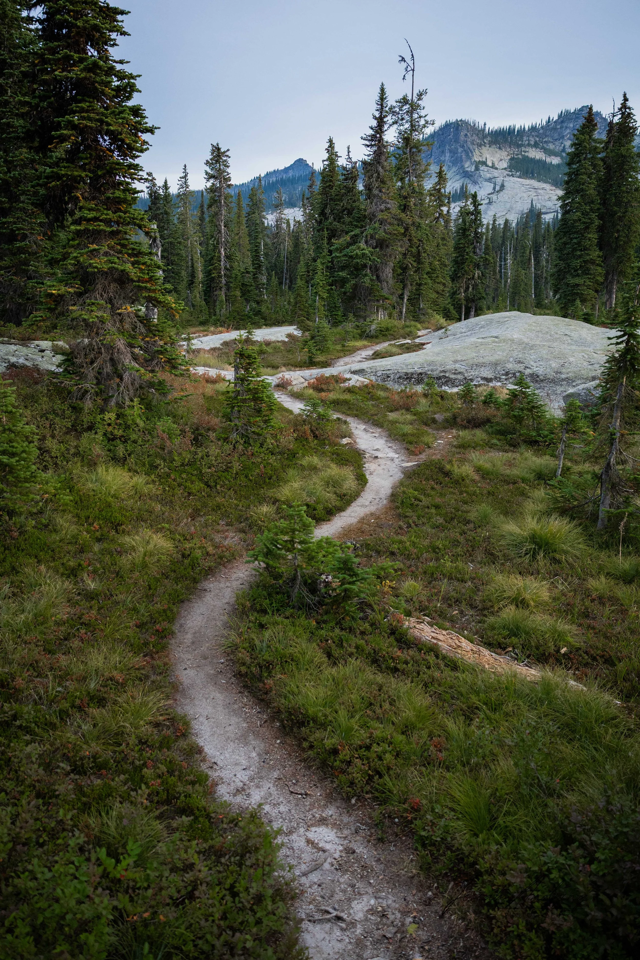 The Trail Less Traveled 