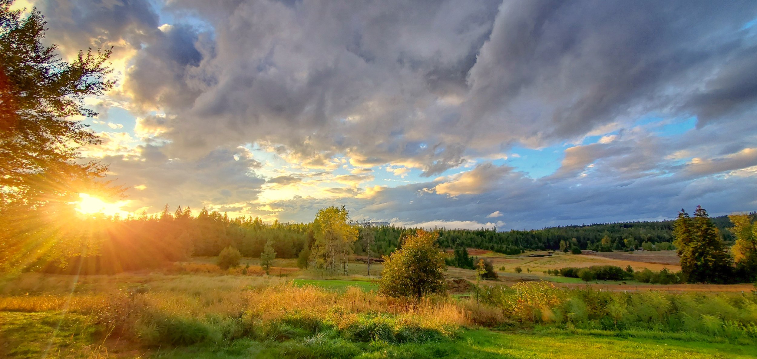 20230926_180224-1-1 (2)-4.jpg