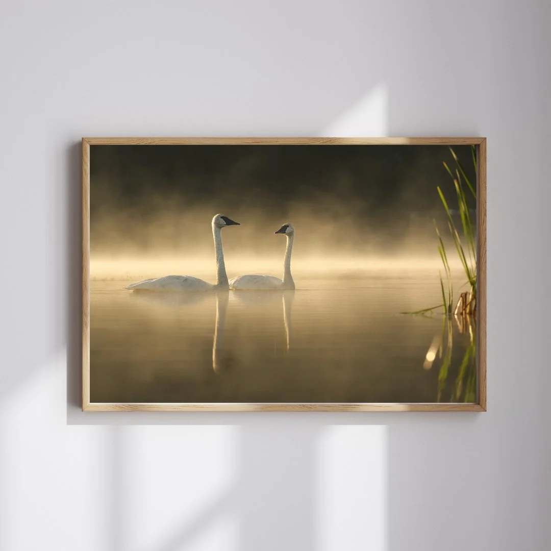 Black Luxury Photography Mockup Instagram Post.jpg