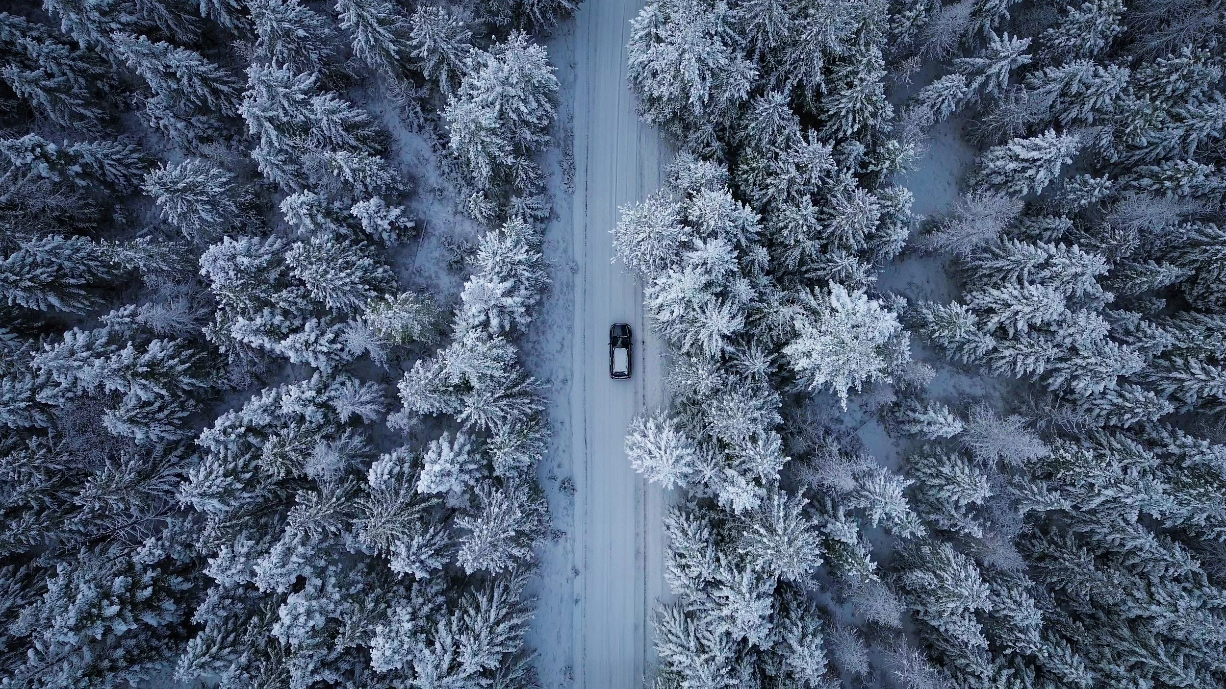 DJI_0846 - frame at 0m26s-2-2.jpg