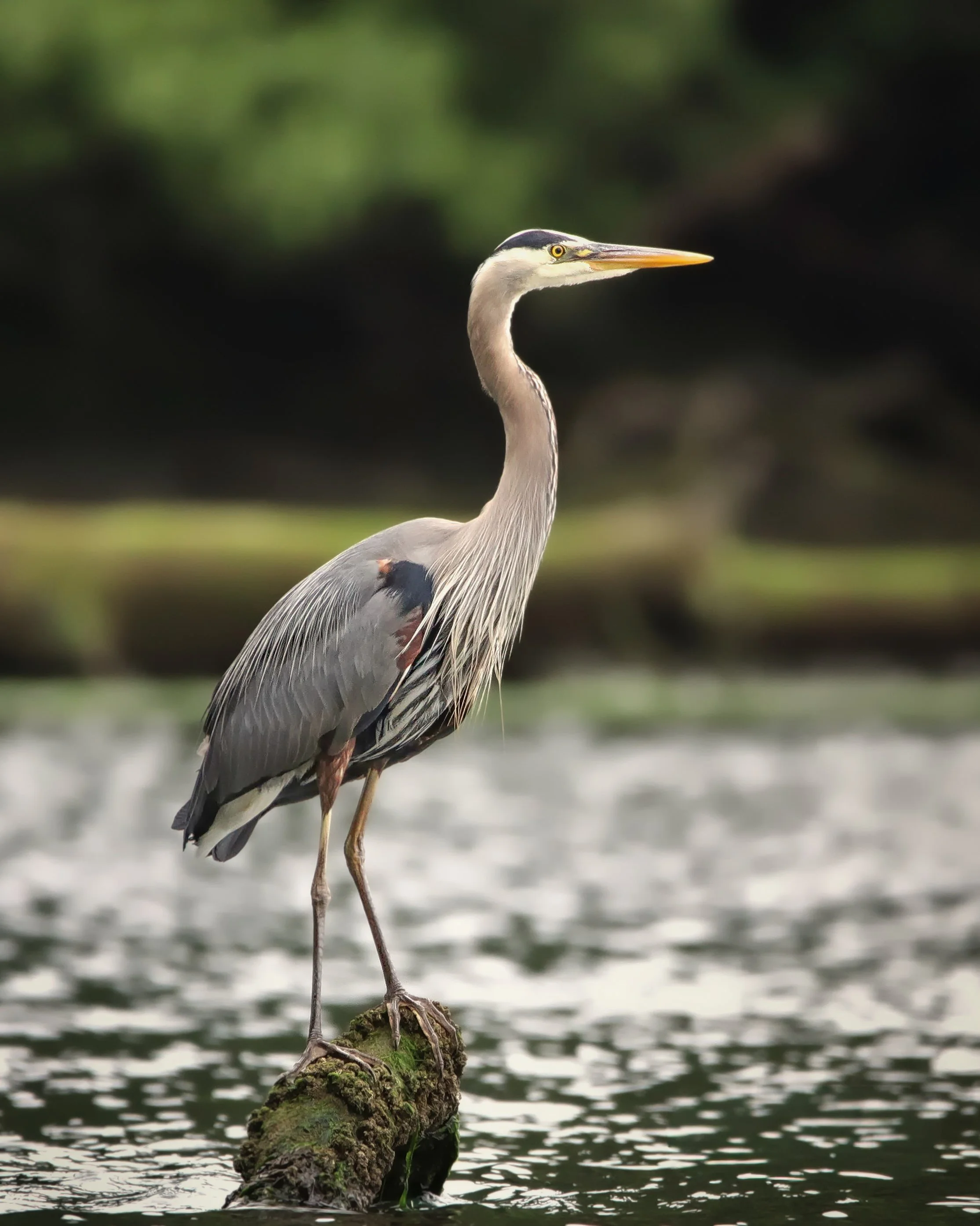 IMG_6032-1 (2)-3-2.jpg