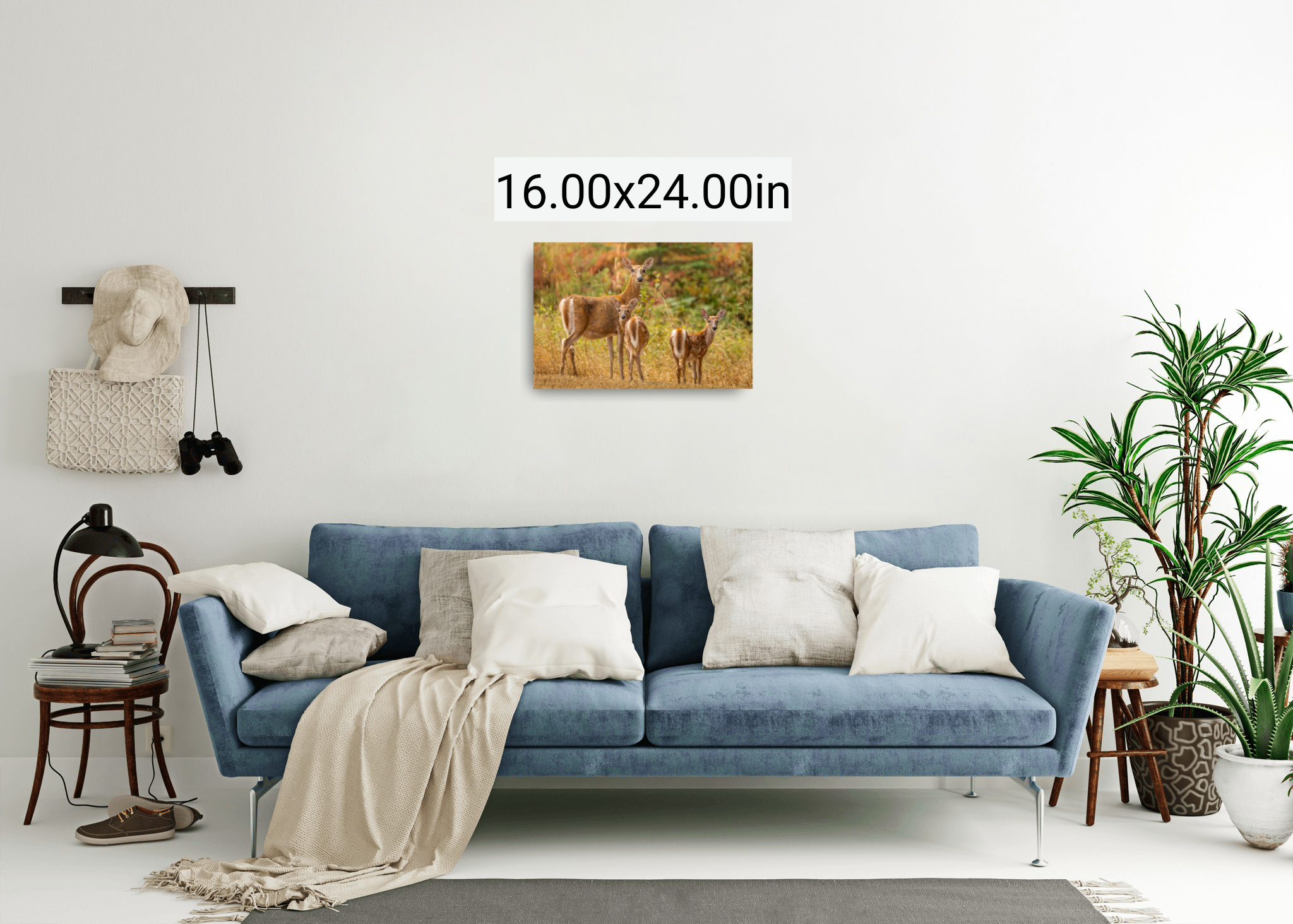 wallpicture_260904_012655.png