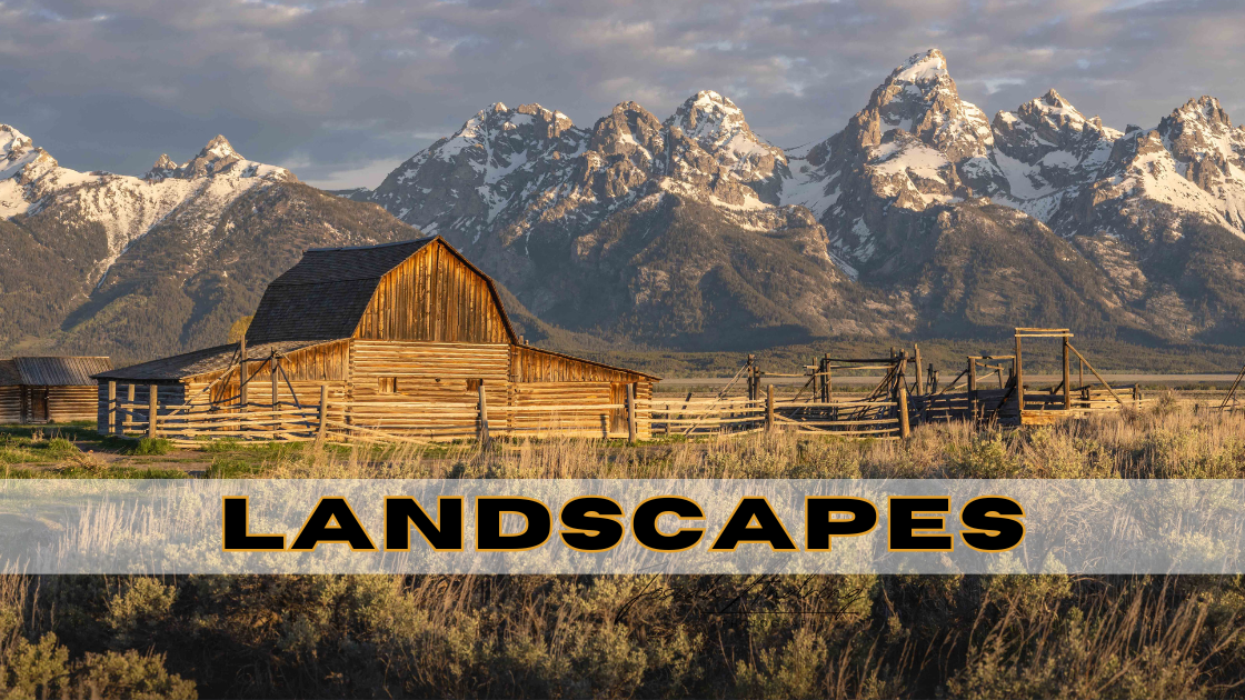 Landscapes