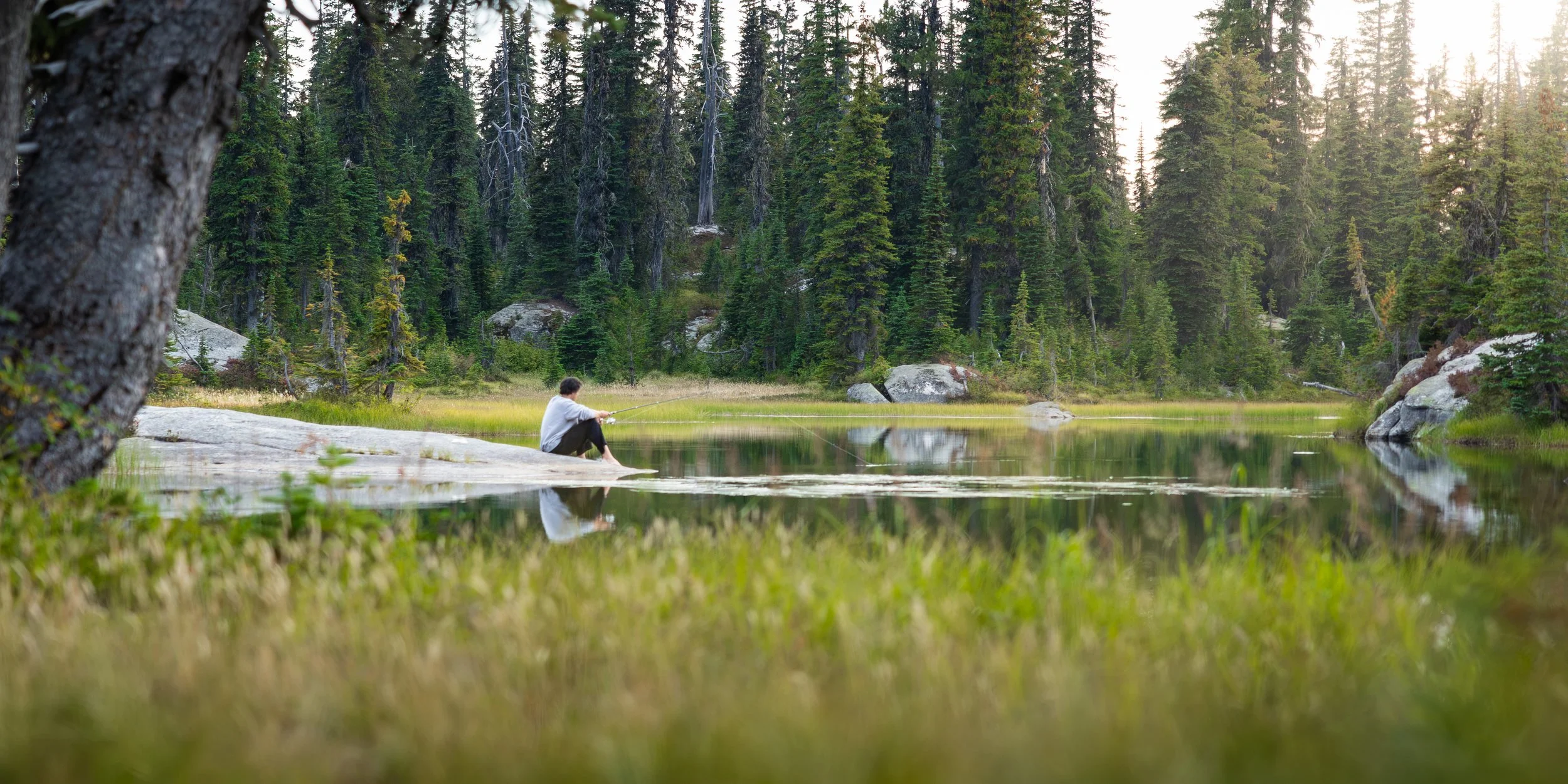 High Country Solitude