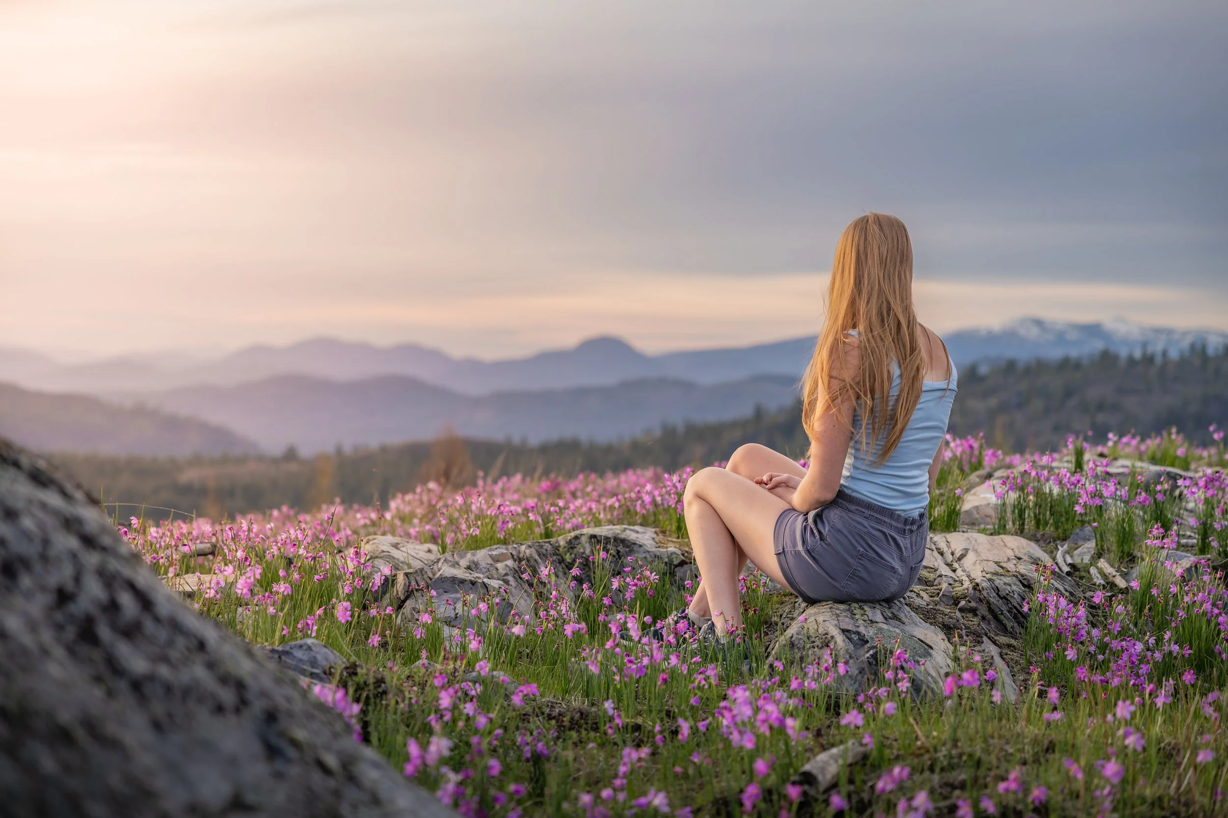 Wildflower Daydream