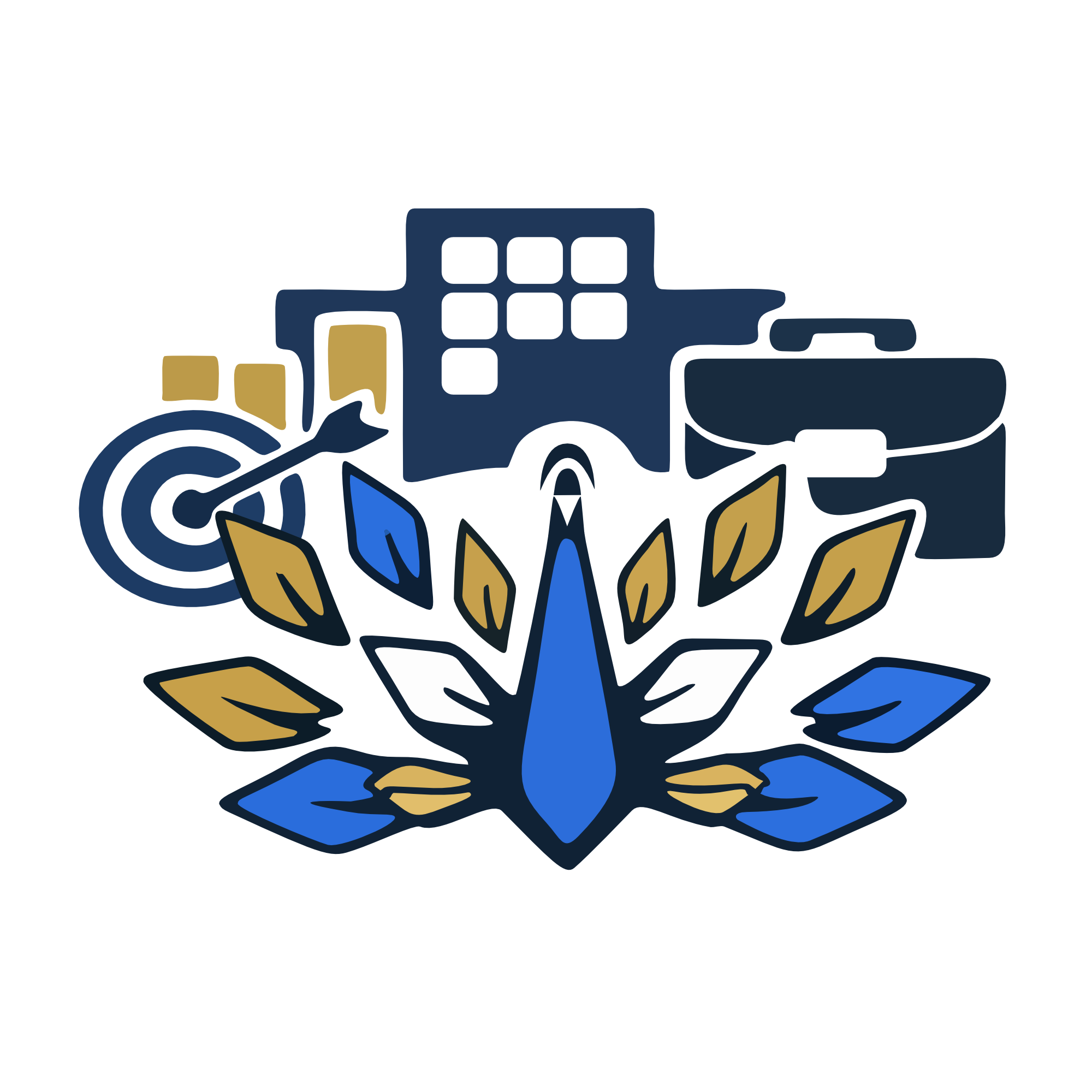 Executive & Organization Work