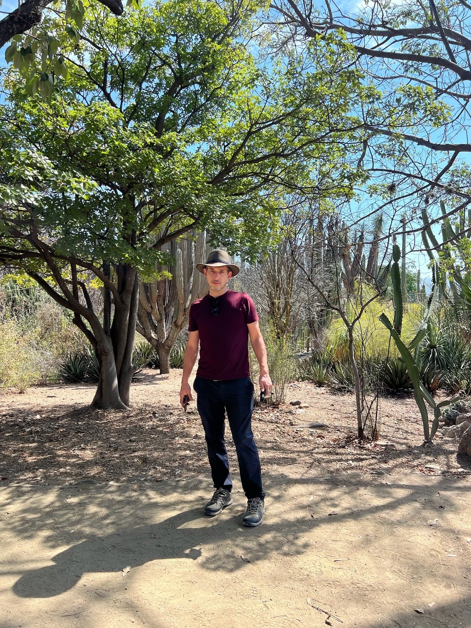 Santiago Roose en trabajo de campo entre cactáceas y vegetación nativa, Oaxaca, Mexico