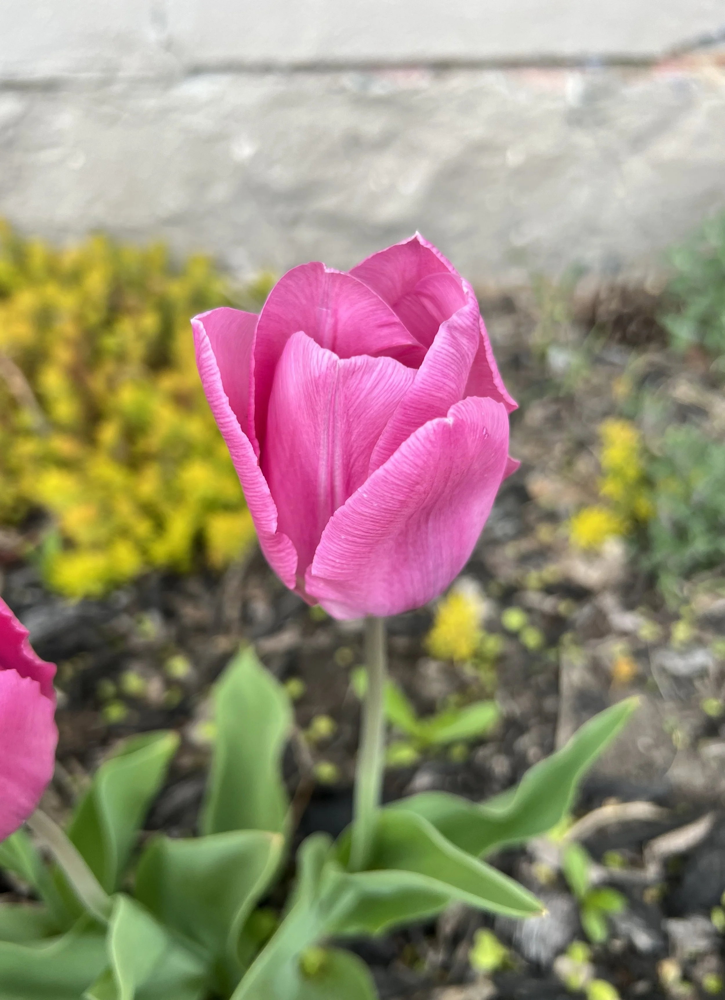 IMG_0742.jpeg