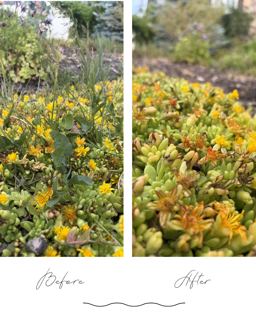 Before and After a little maintenance