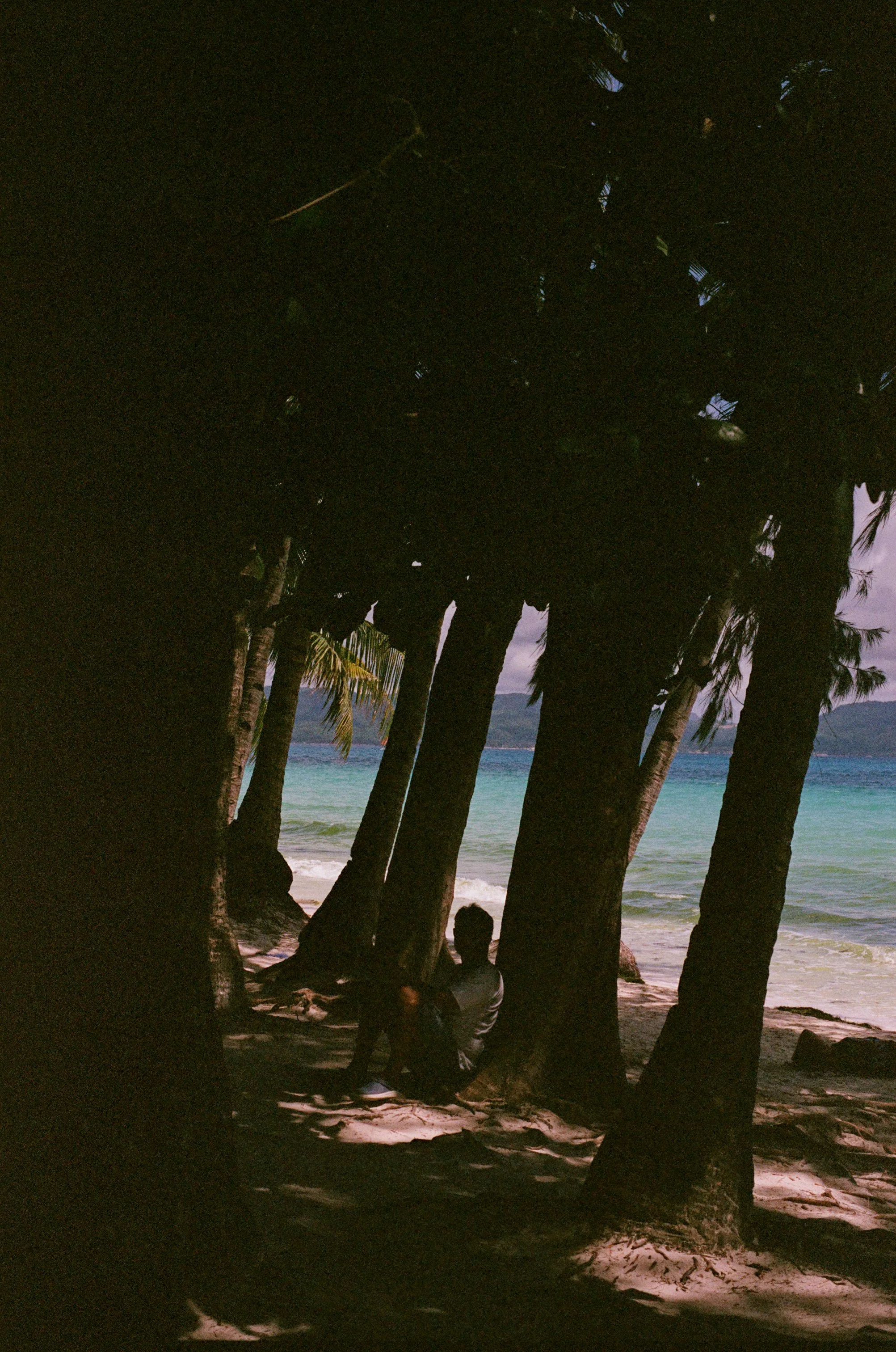 A silhouette of a person sitting under large palm trees on a beach, with turquoise water and distant land in the background.