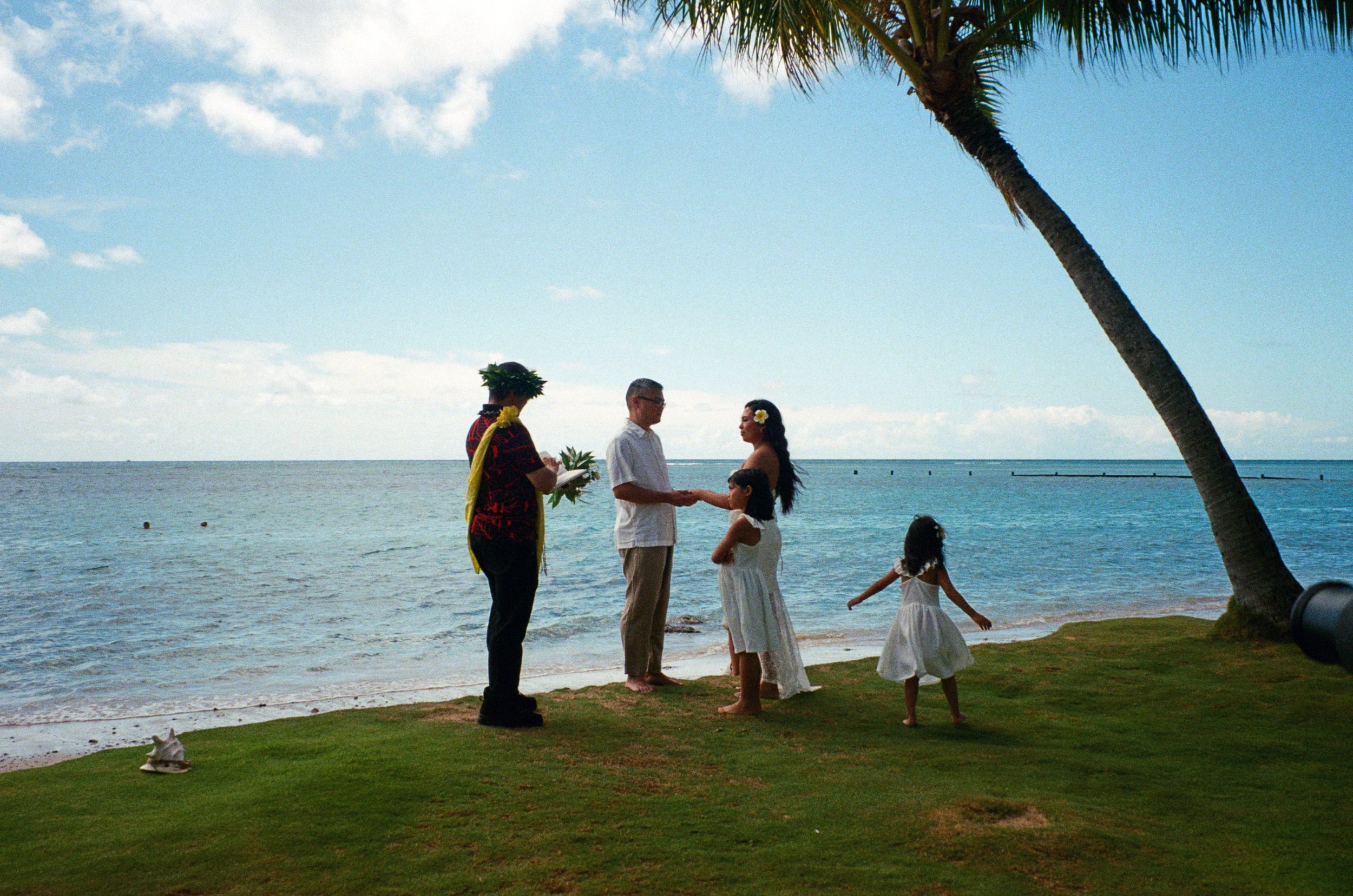 A wedding ceremony taking place on a grassy area near the beach under a palm tree, with the ocean and blue sky in the background.