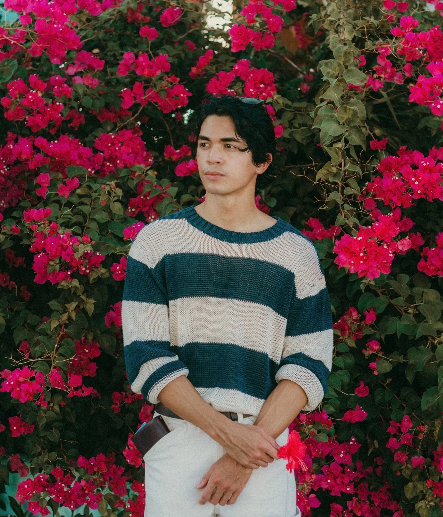 A young man with dark curly hair, wearing a blue and beige striped knit sweater and white pants, standing in front of a dense bush of pink flowers.