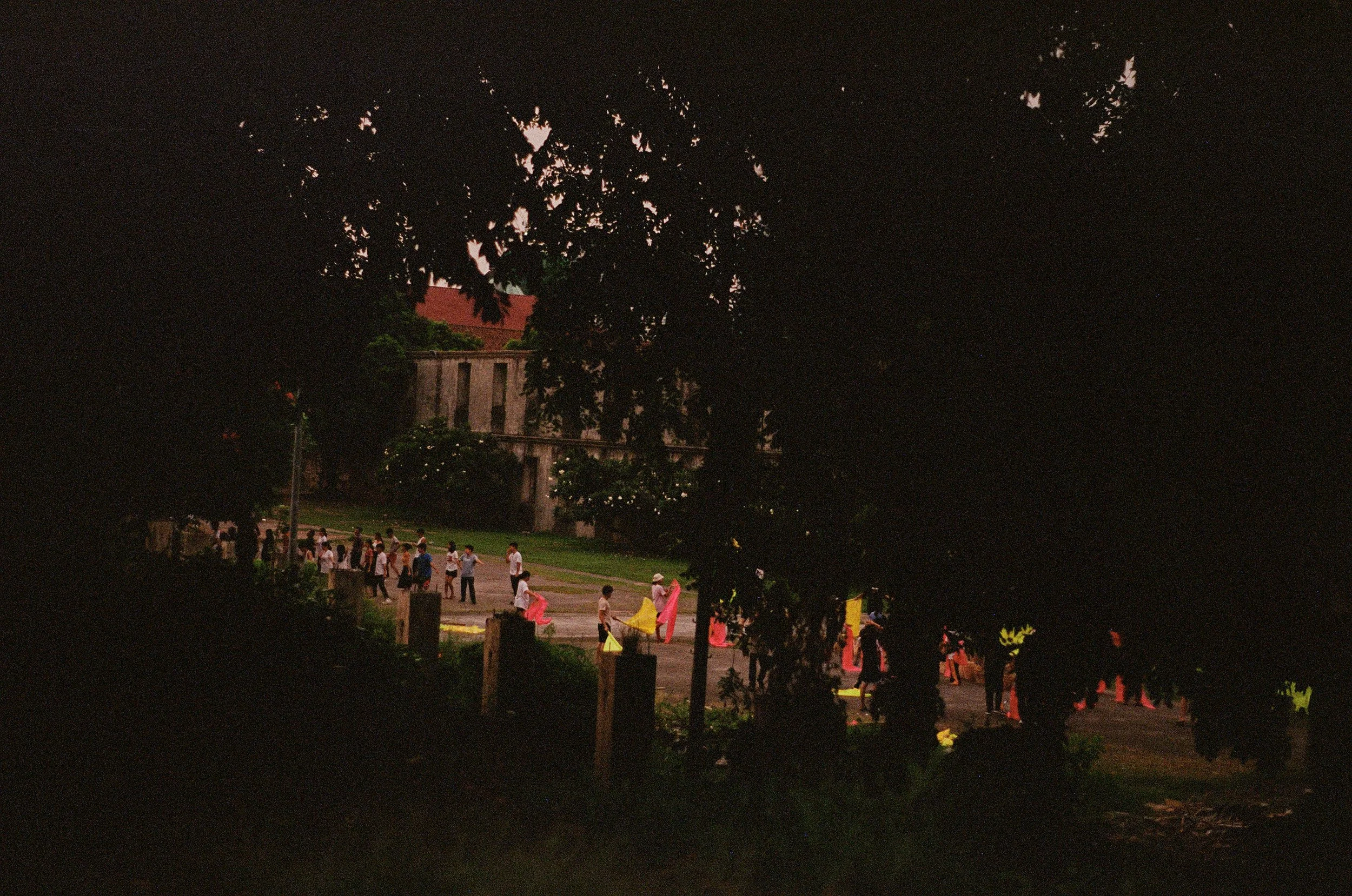 People forming a line outdoors, partially obscured by trees, during the evening or night.