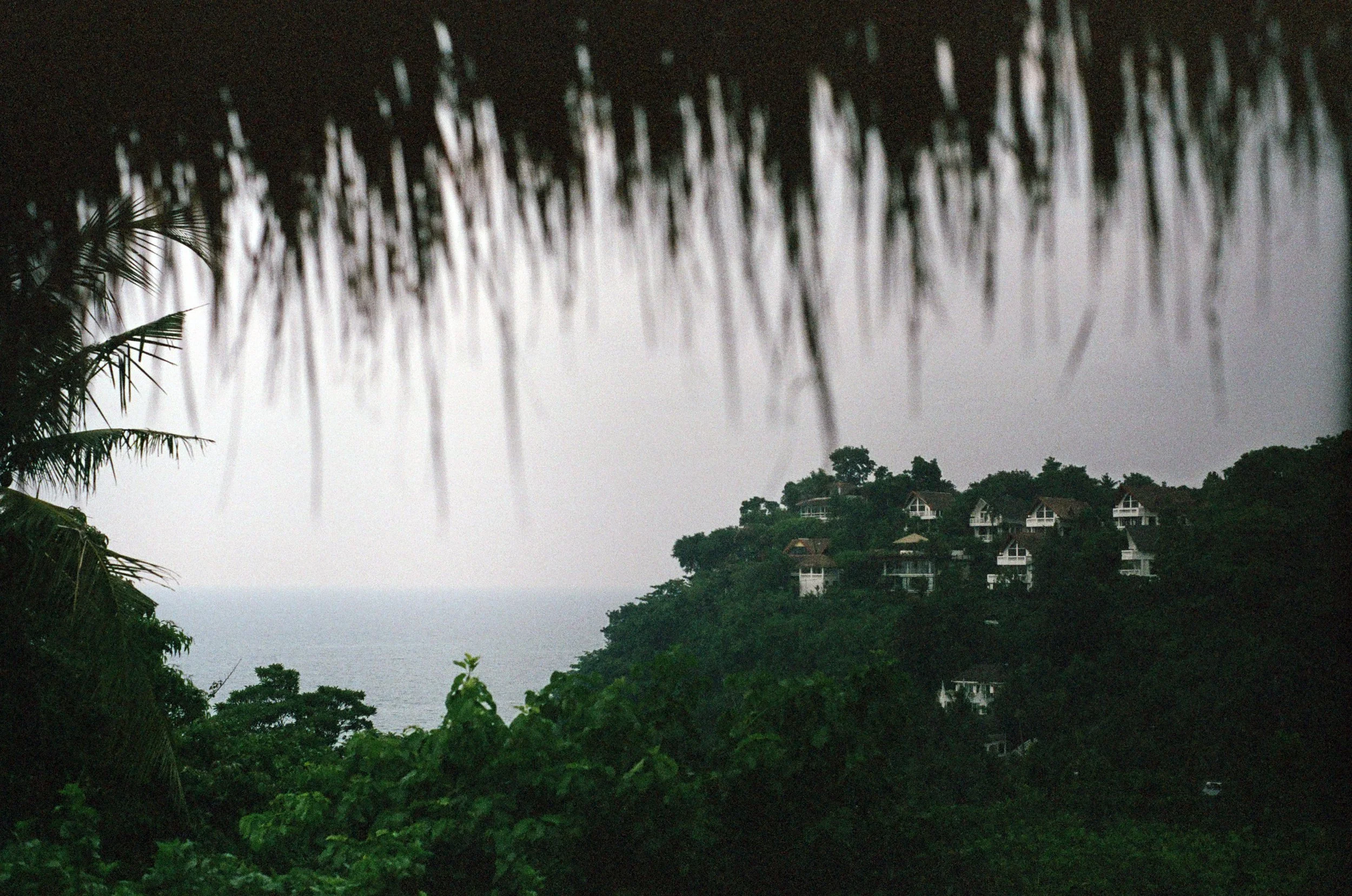View of a hillside with multiple houses surrounded by lush greenery, overlooking the ocean, with a blurred palm roof in the foreground.