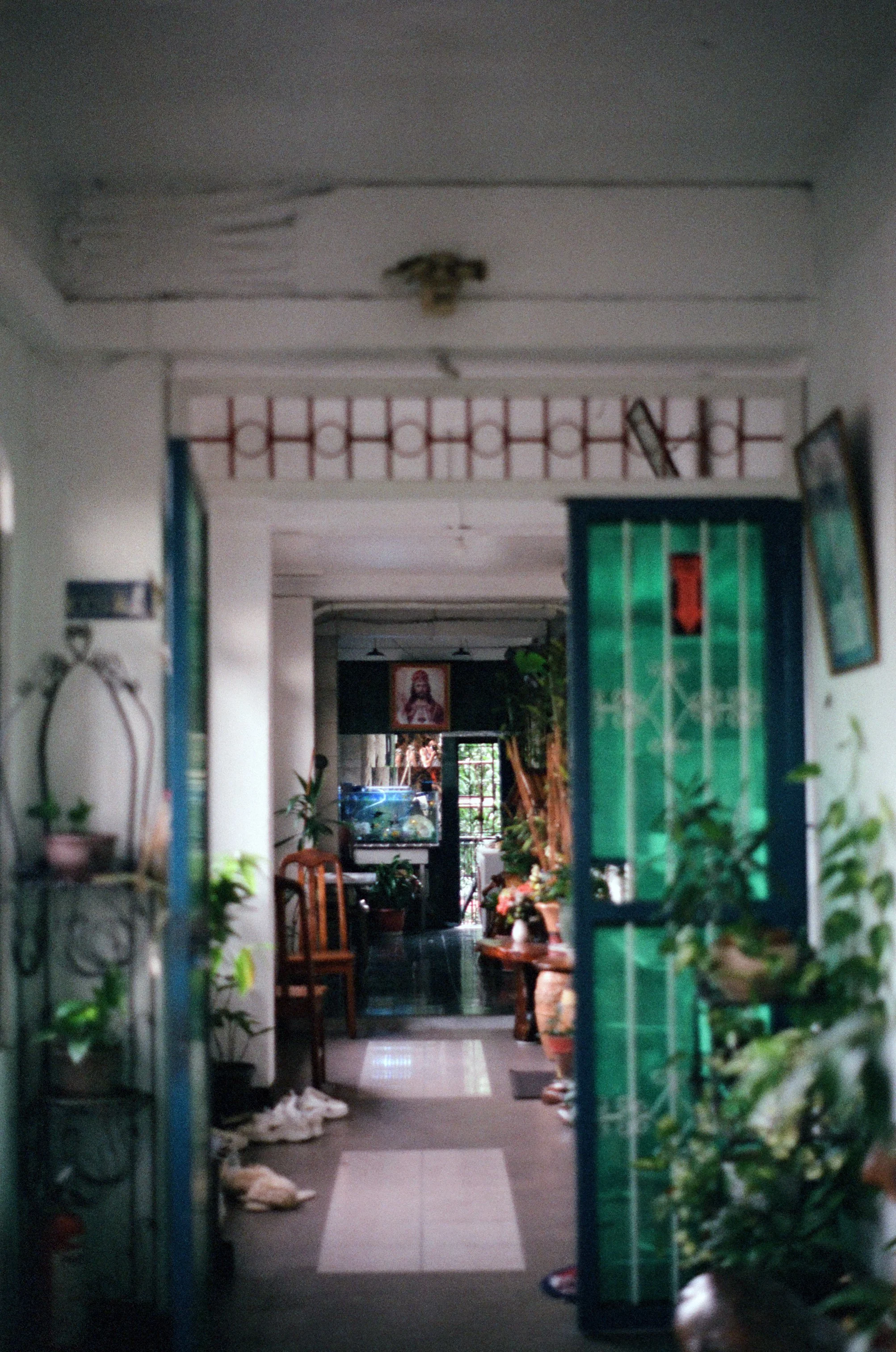 Interior view of a house showing a hallway with plants, furniture, and a fish tank, leading to a room with a window and wall decorations.