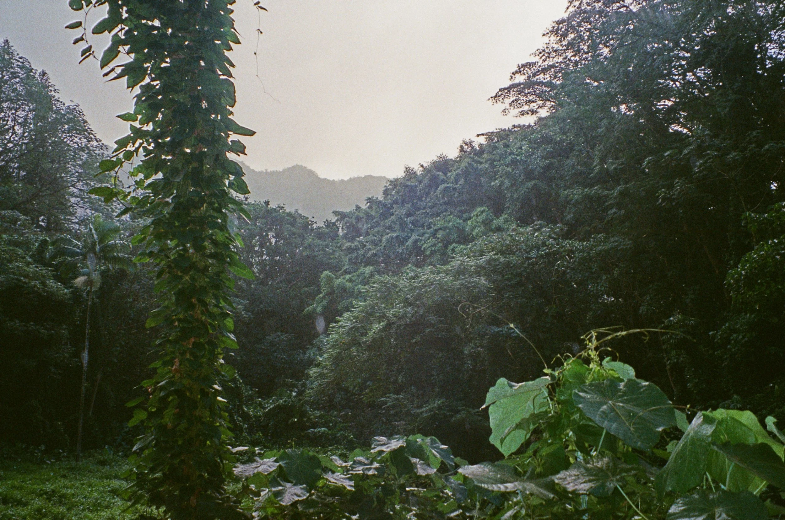 000014030024.jpg