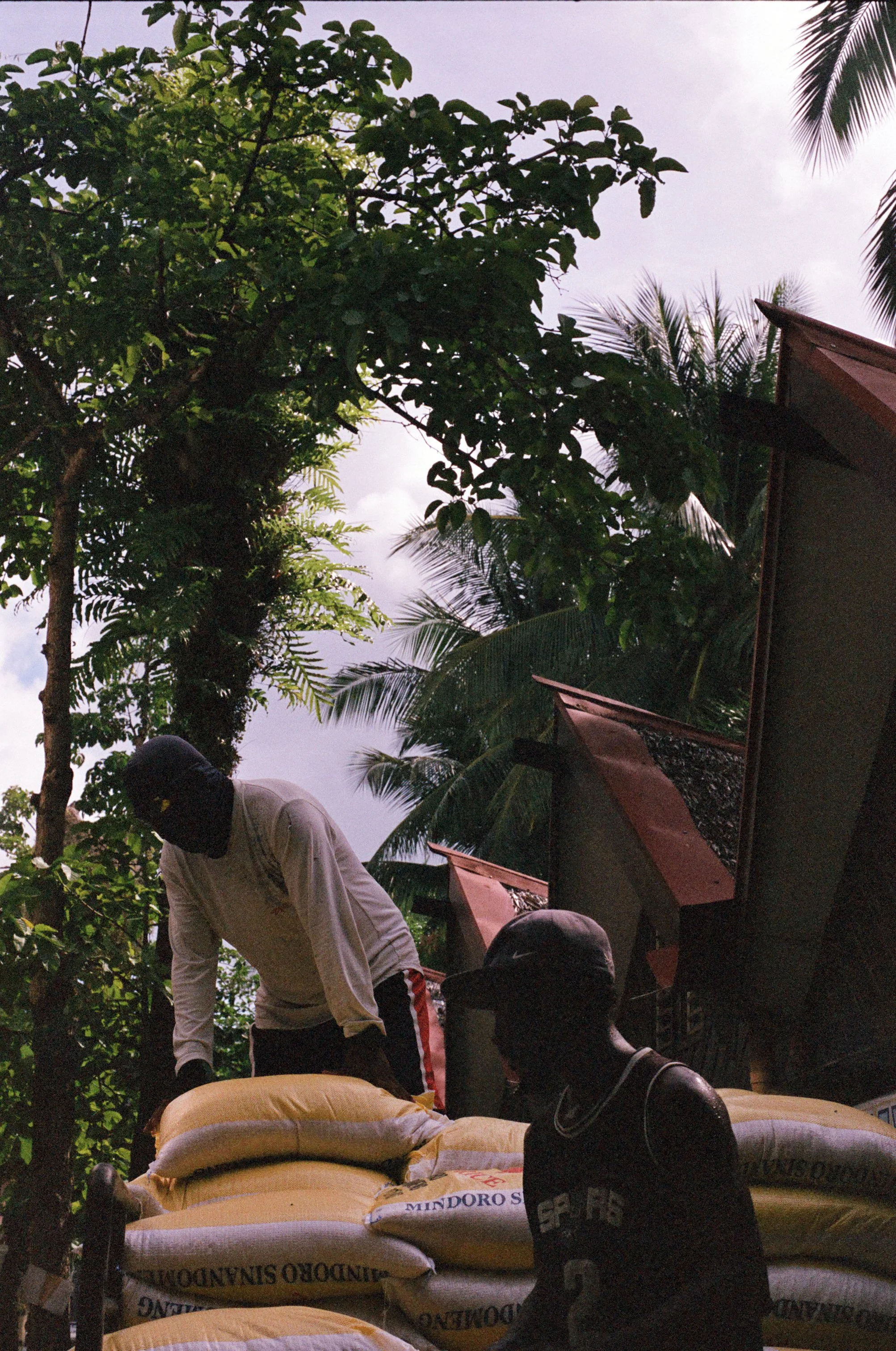 Two men in dark clothing and face masks pick up bags of a product labeled 'MINDORO SANDALWOOD' outdoors next to trees and a building with a sloped roof.