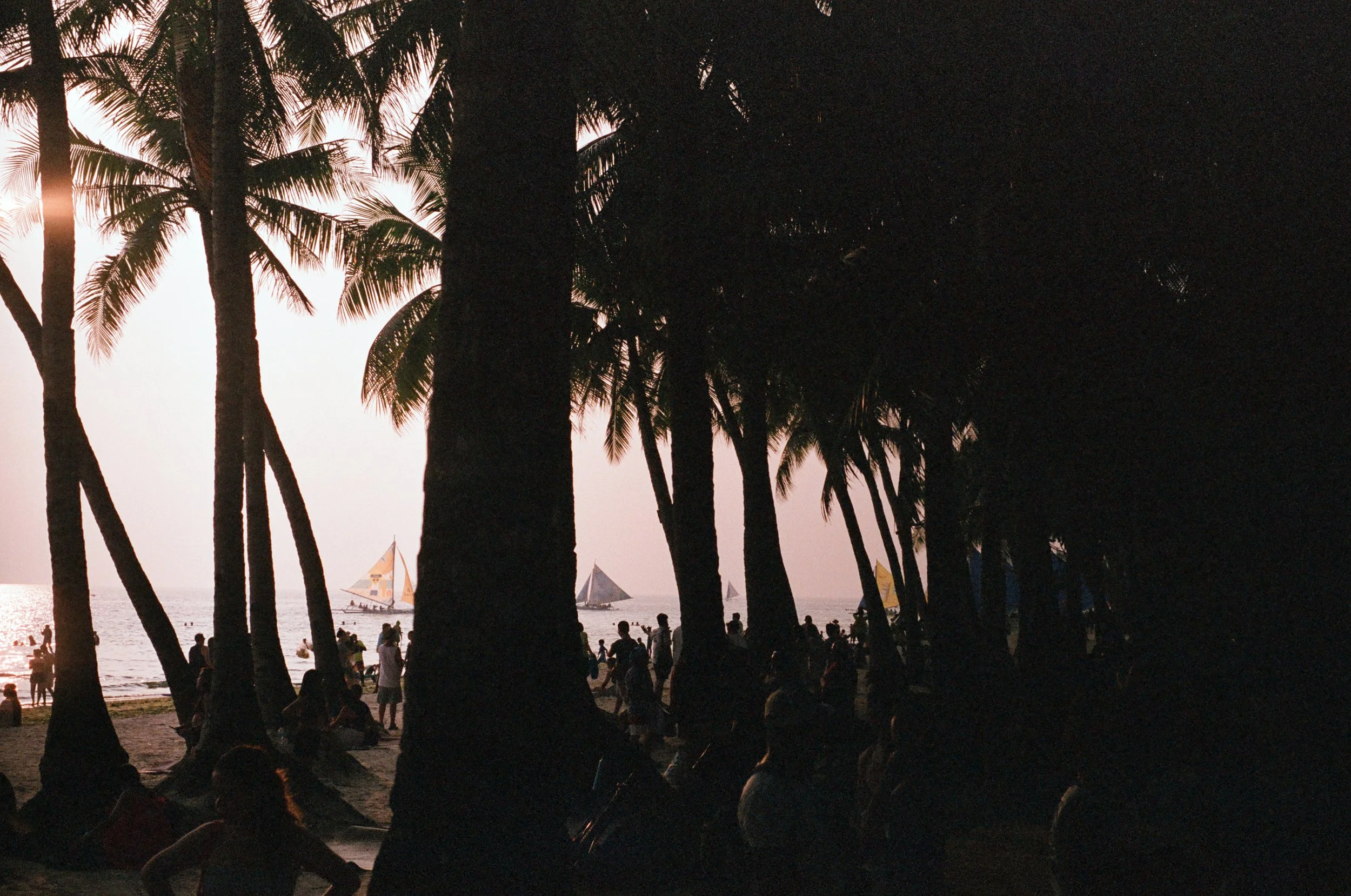 Sunset at the beach with palm trees silhouettes, people sitting and walking on the sand, sailboats on the water.