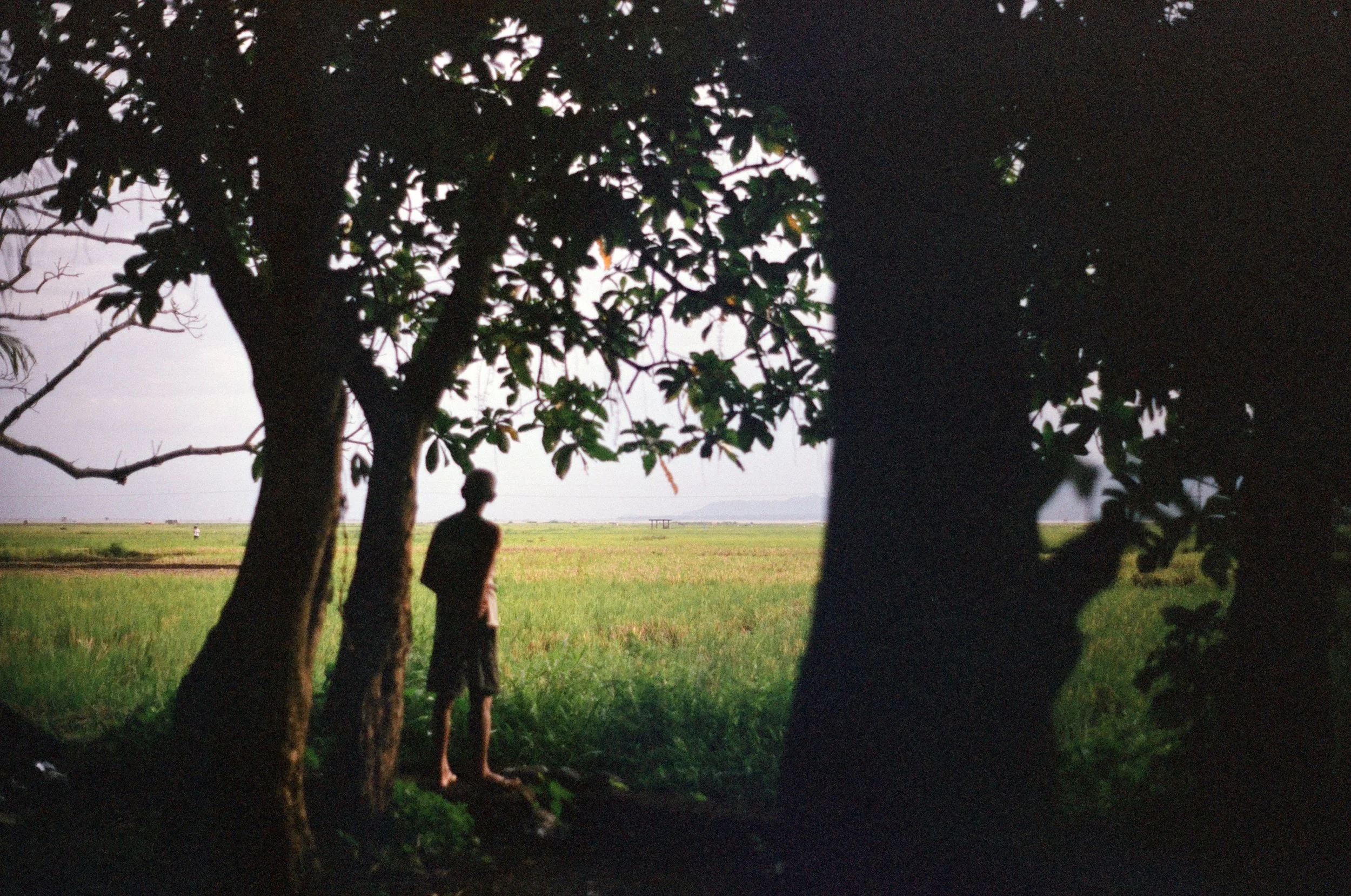 A boy standing under trees in a rural landscape with green fields and a distant structure, viewed from inside a shaded area.