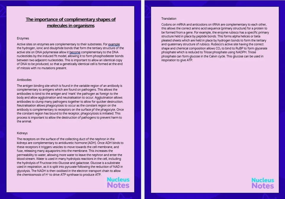 Essay Examples for A-Level Biology