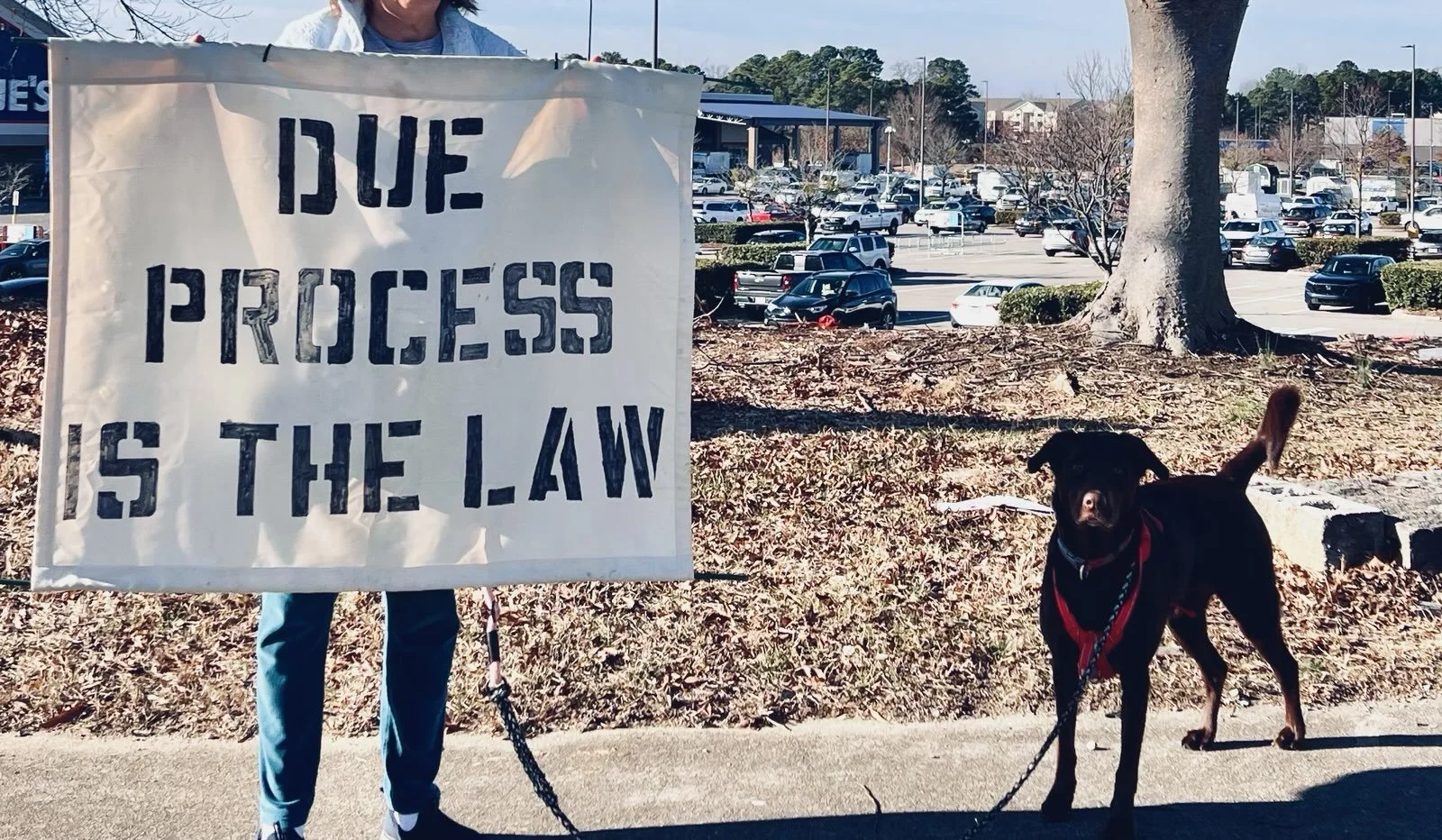 Person holding a sign that reads 'DUE PROCESS IS THE LAW' standing next to a black dog on a leash in a parking lot with trees and vehicles in the background.