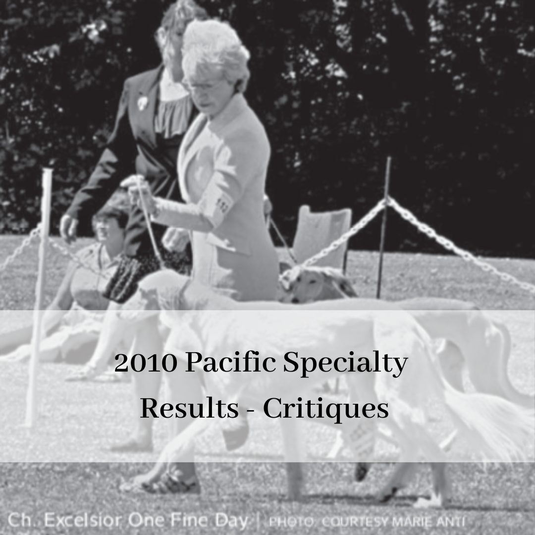 2019 saluki club of canada national specialty-16.png