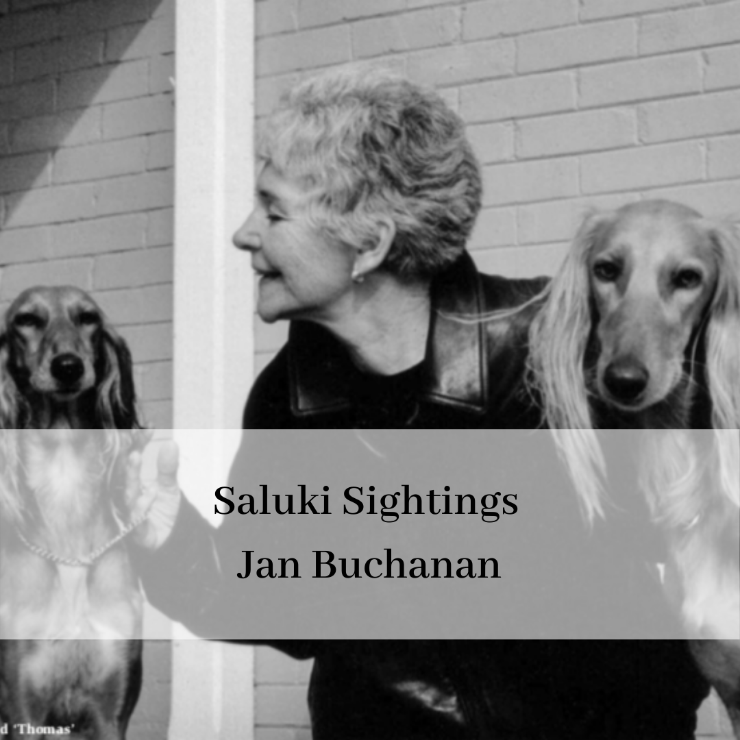 2019 saluki club of canada national specialty-15.png