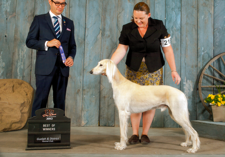 Screen Shot 2019-10-05 at 2.04.05 PM.png